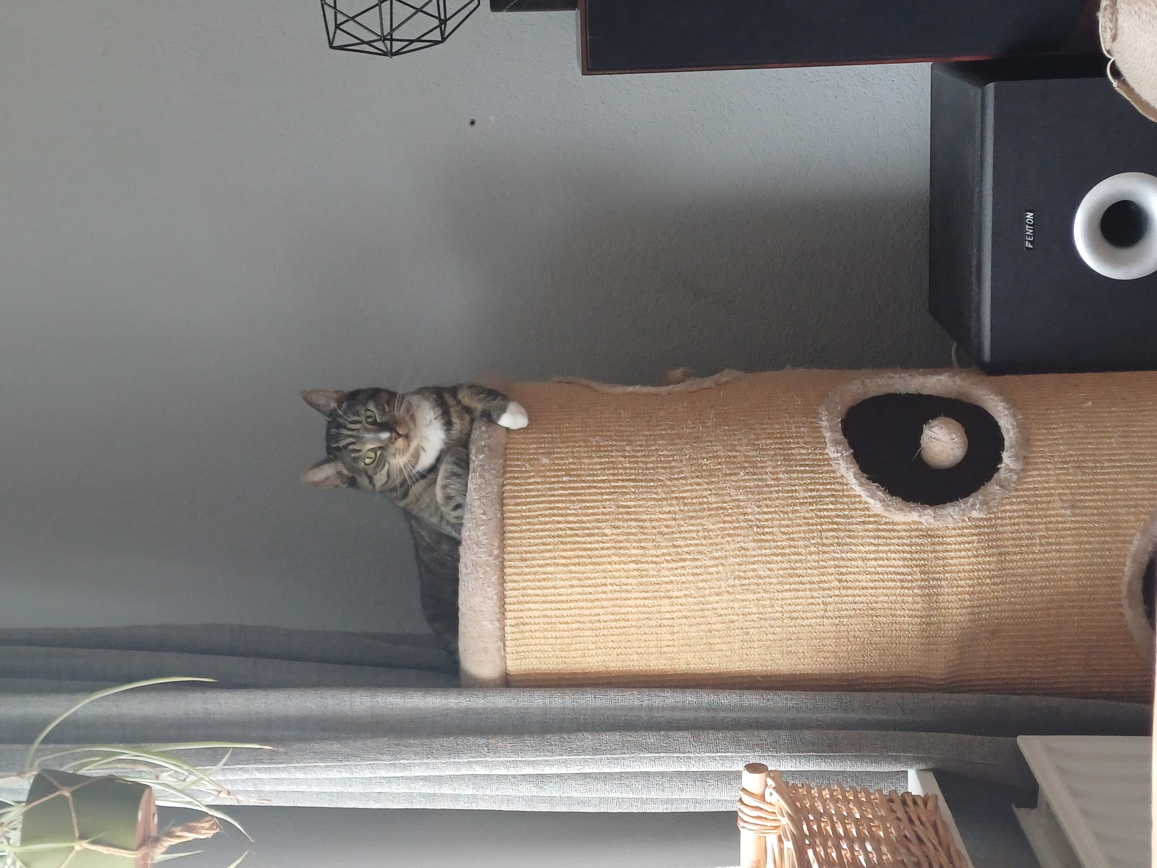 image-6