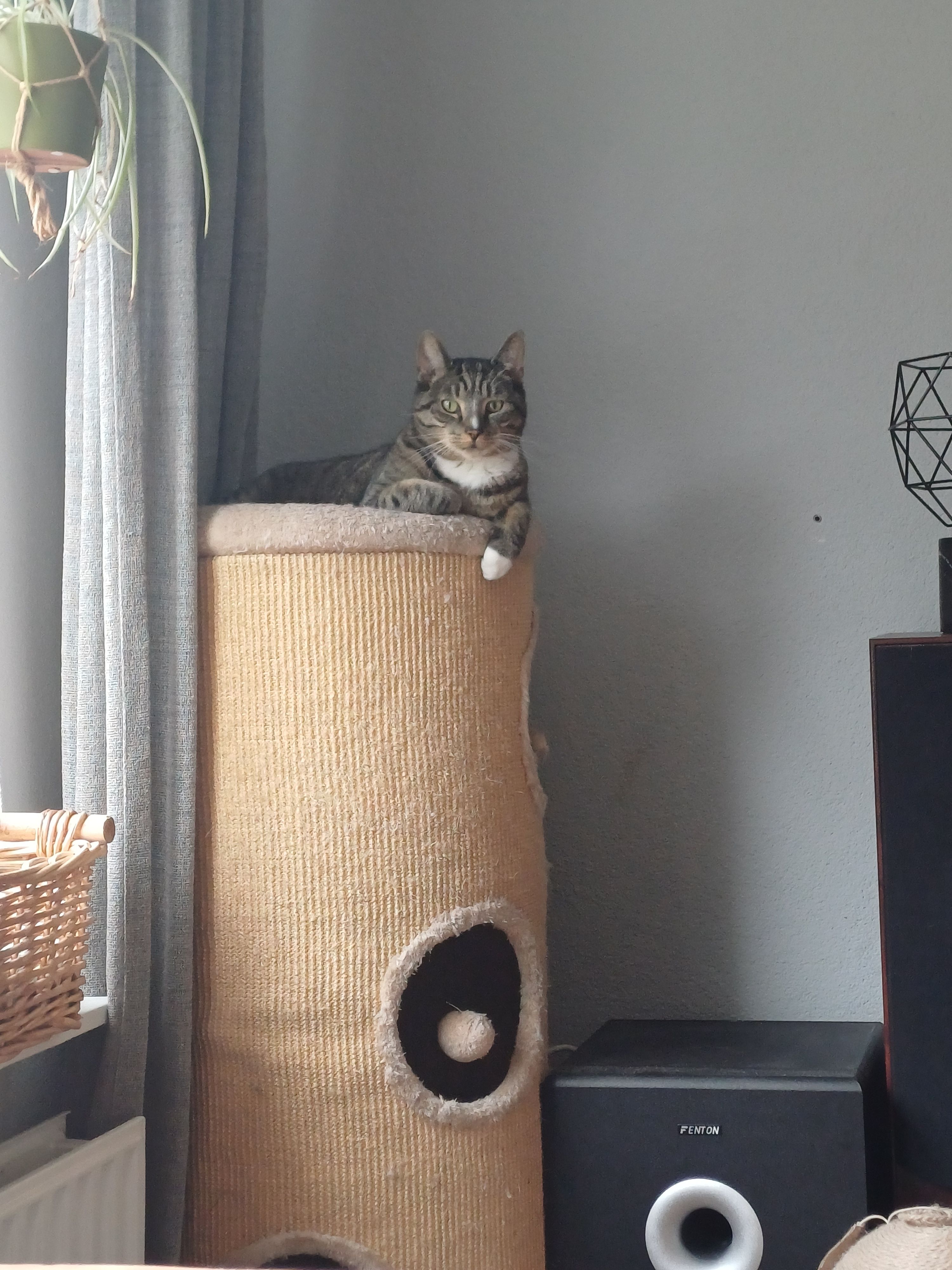 image-6
