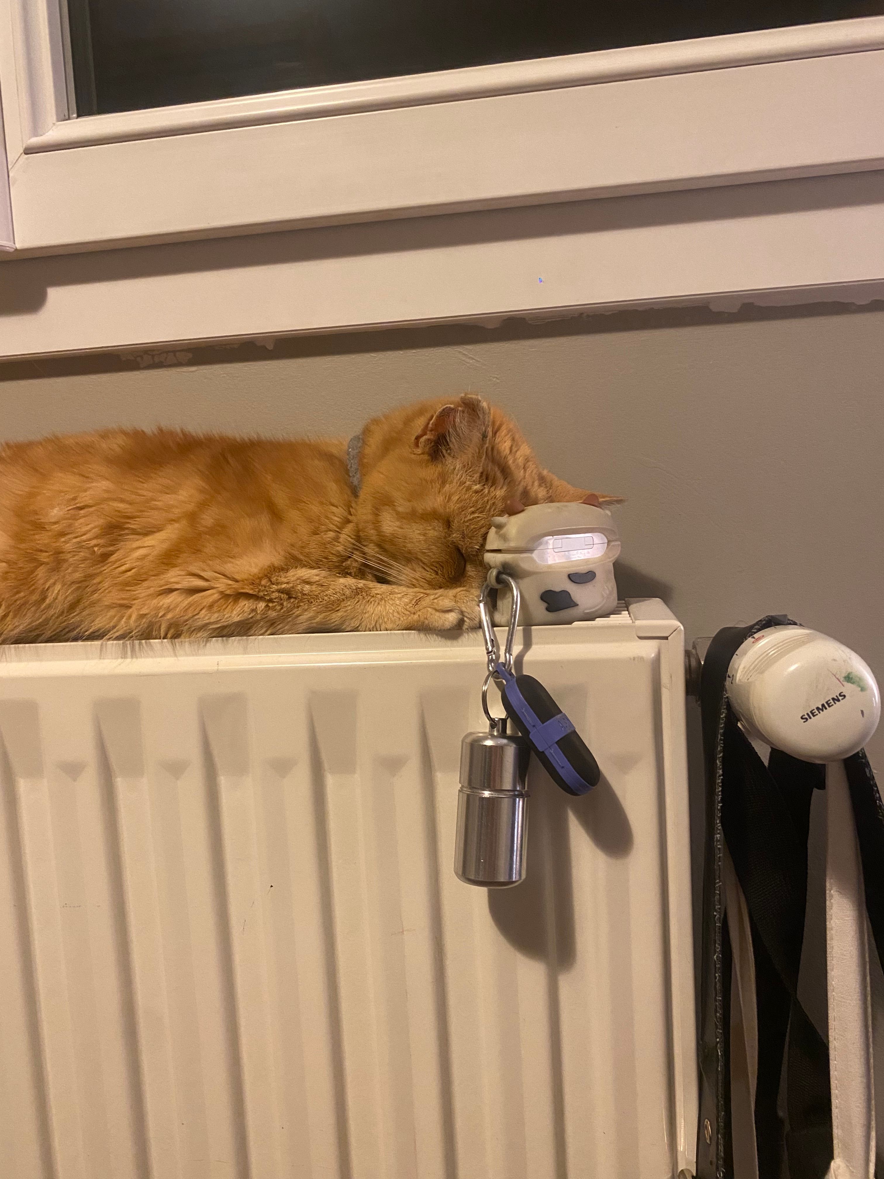 image-7