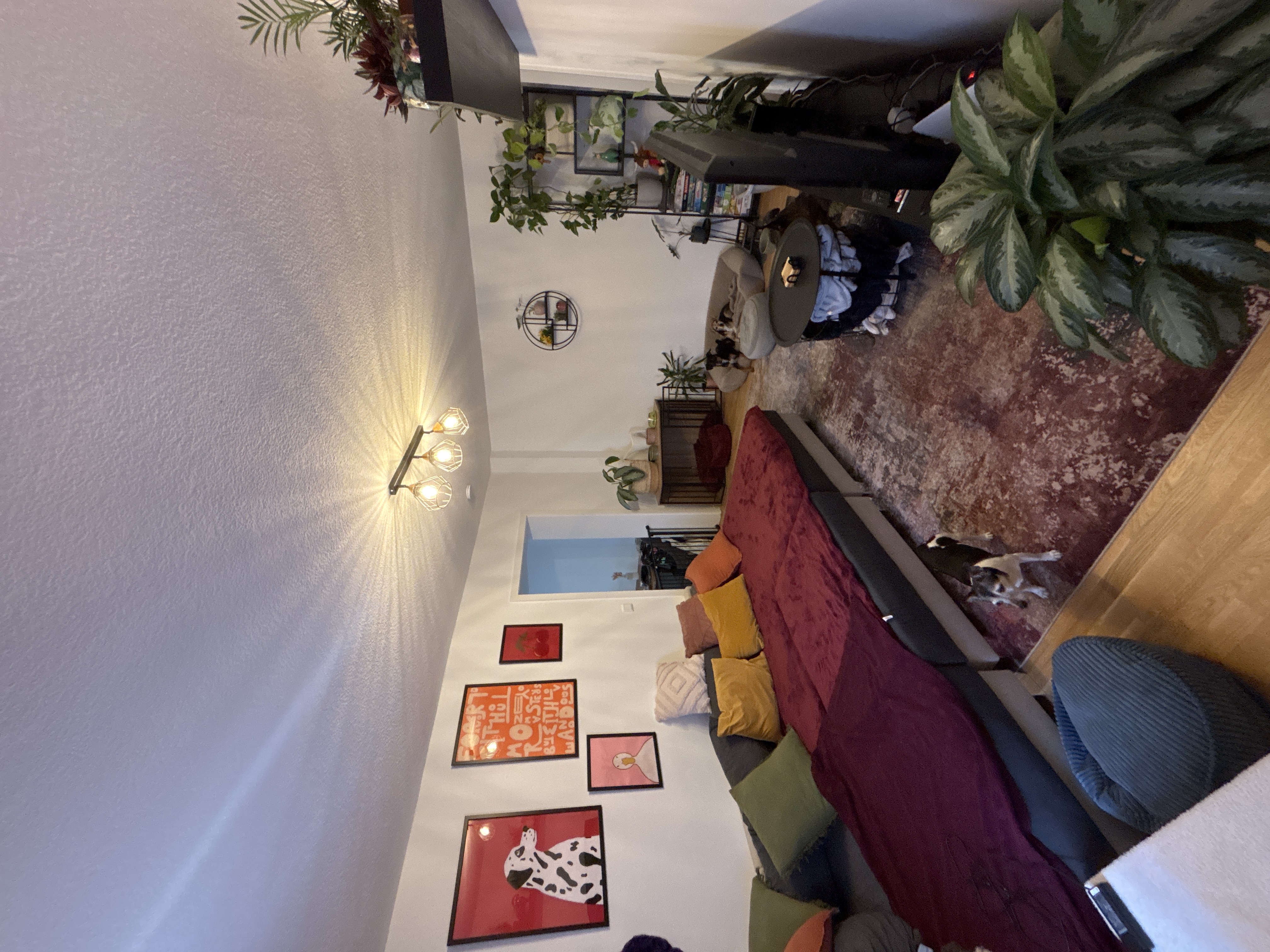 image-8