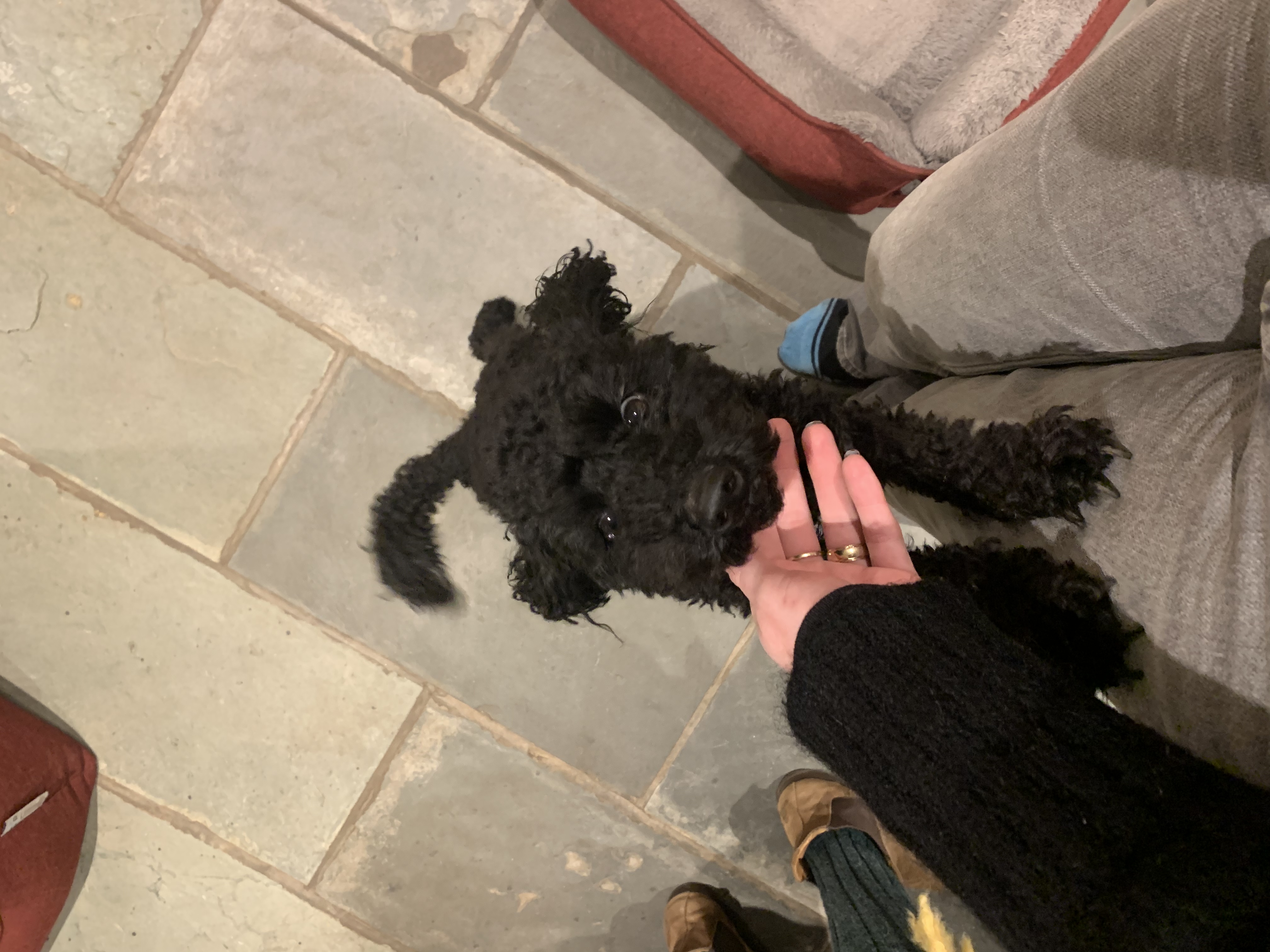 image-6