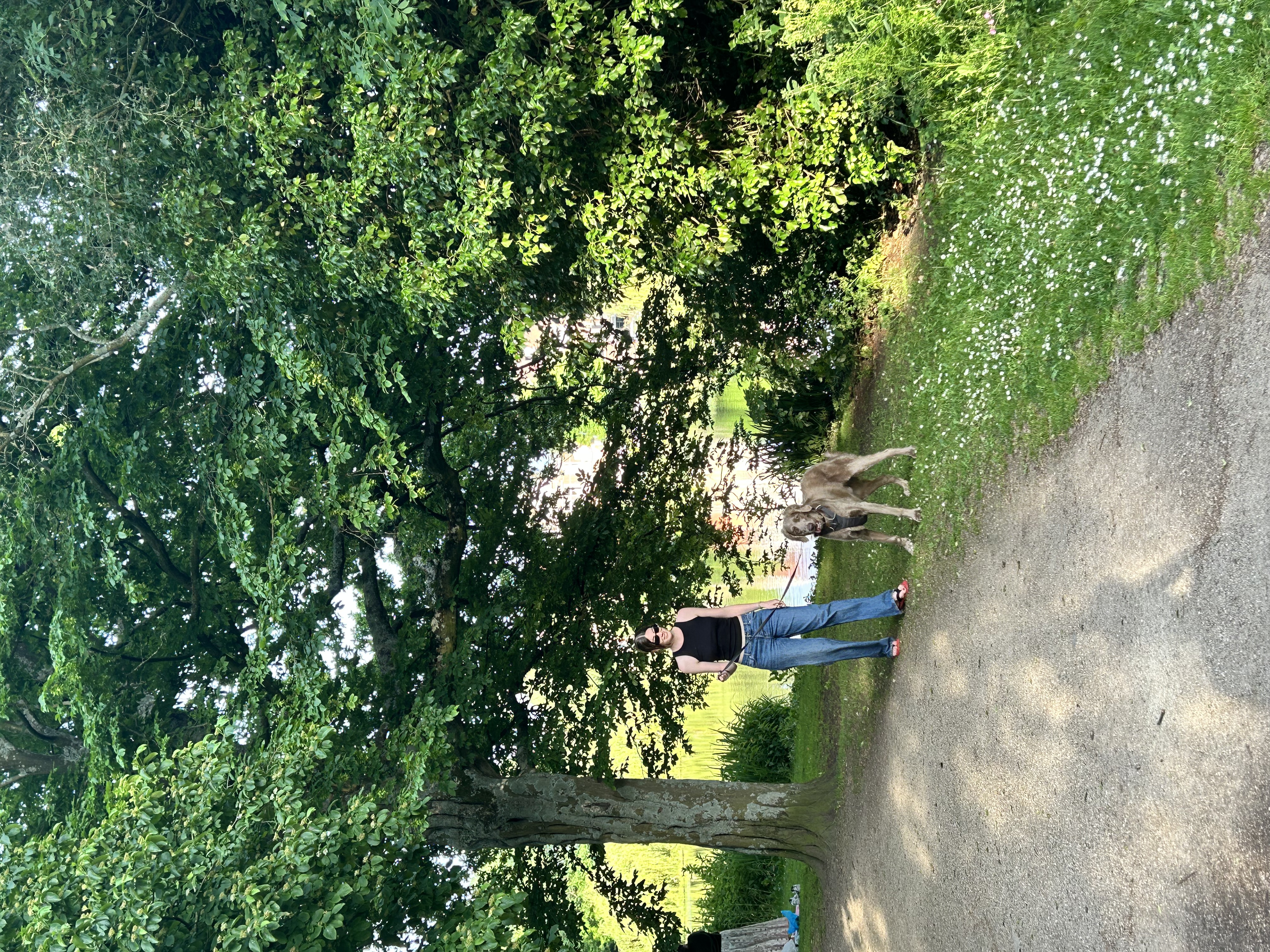 image-0