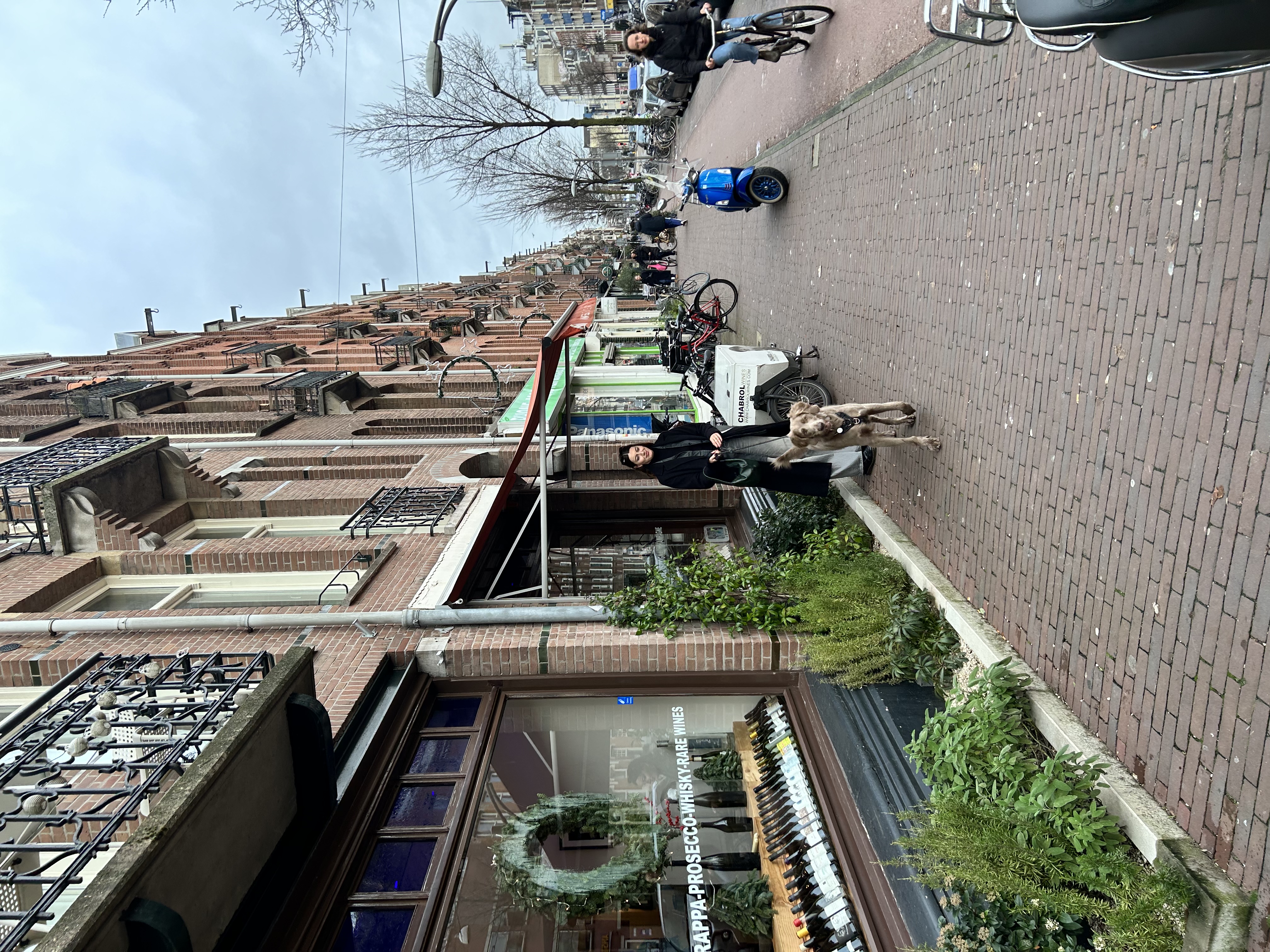 image-5