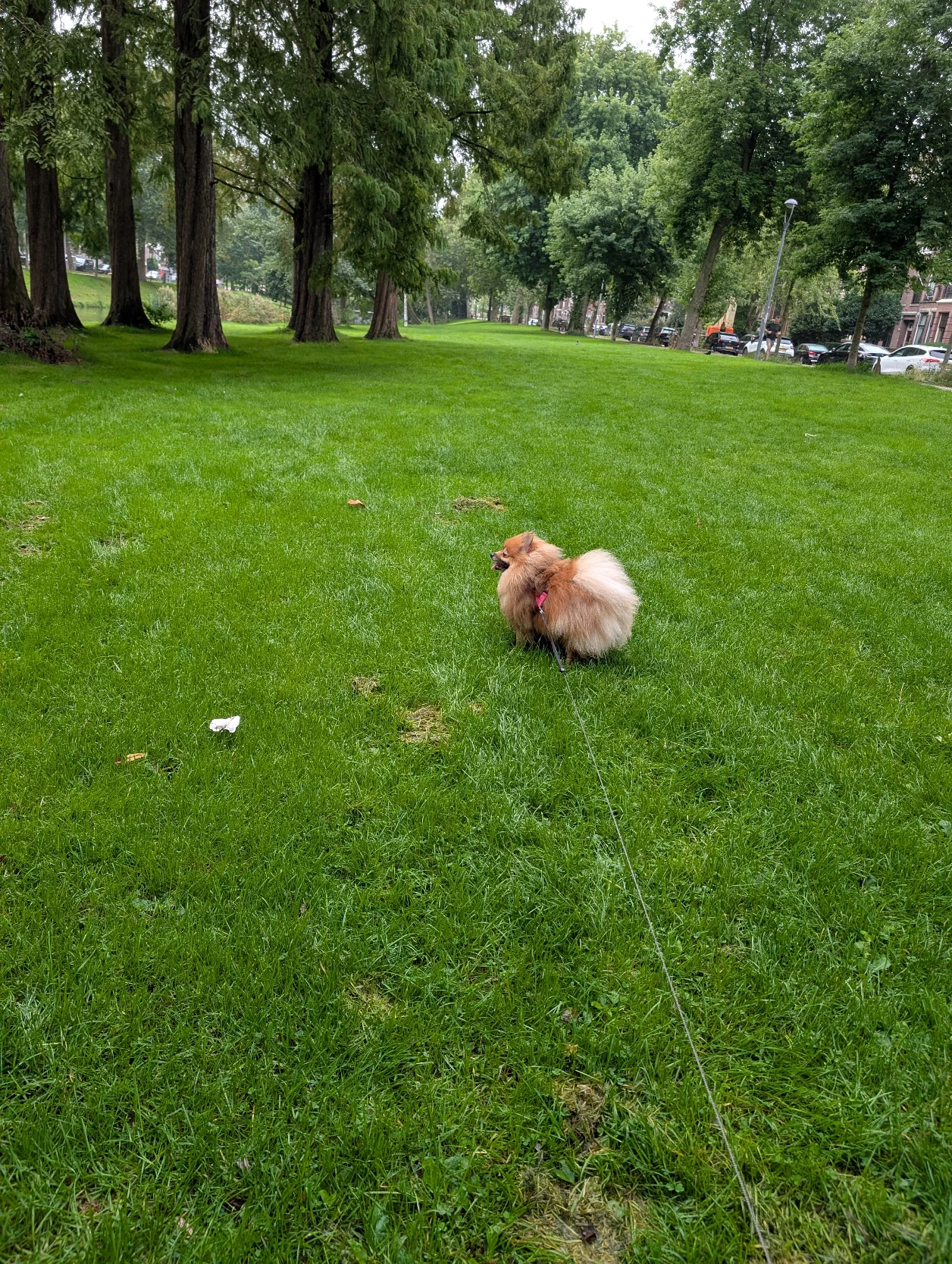 image-14