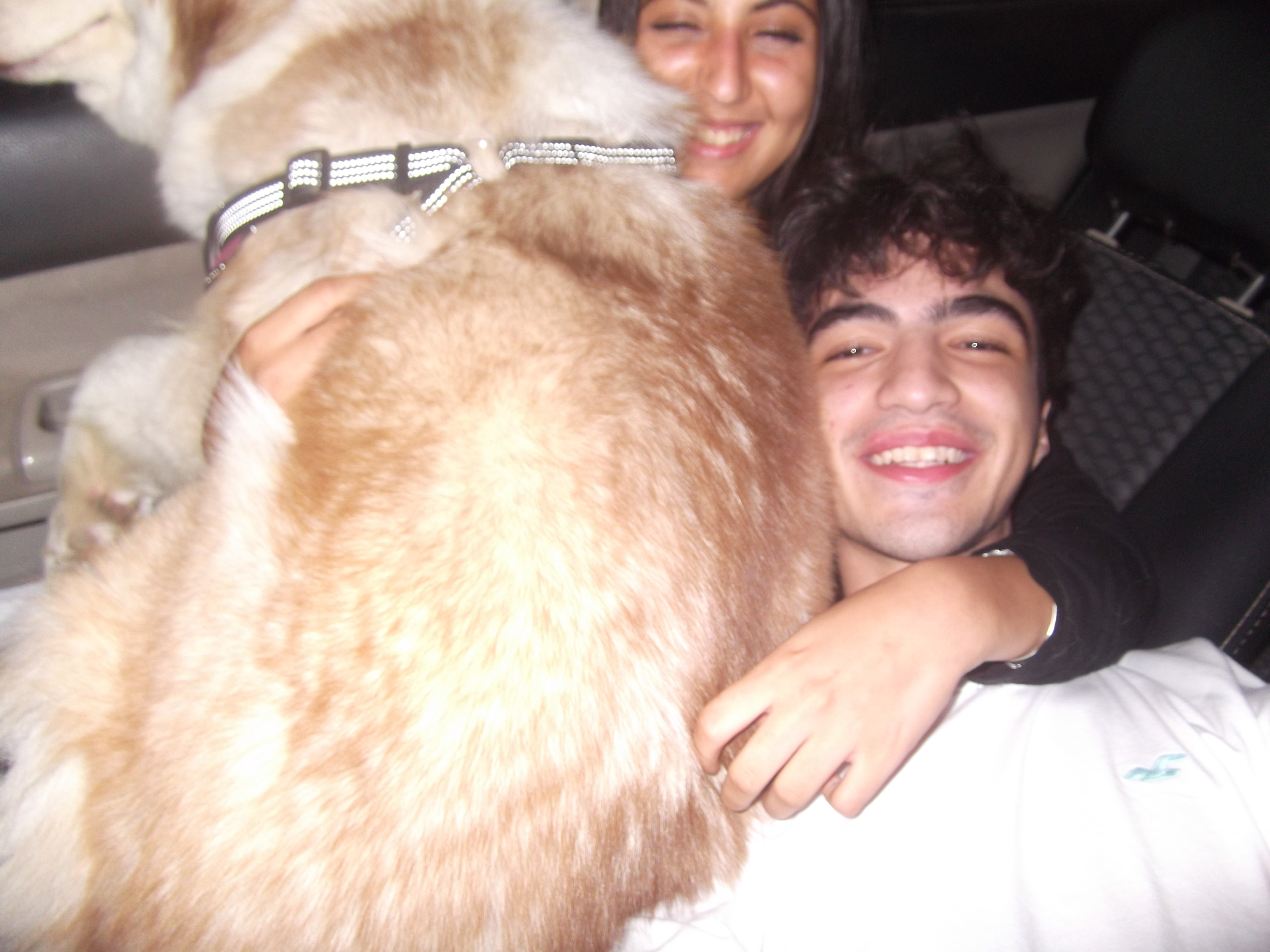 image-8