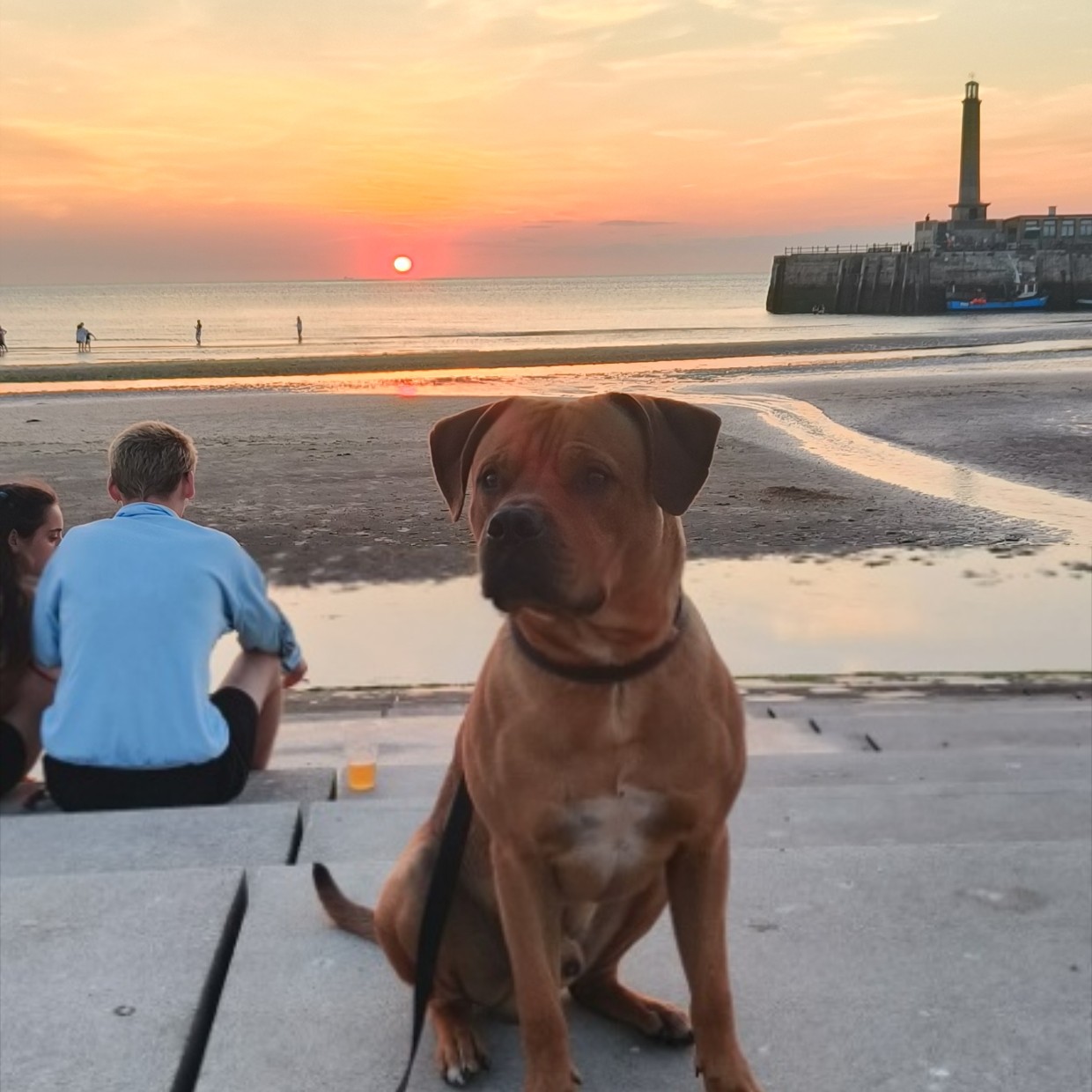 Rosie