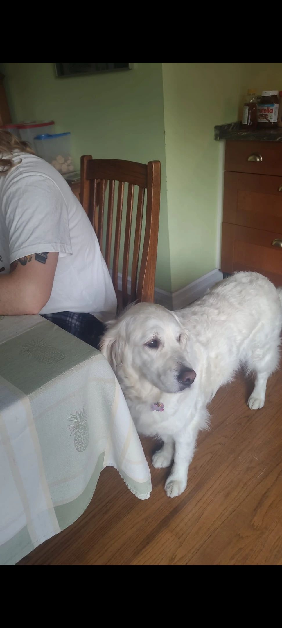 image-8