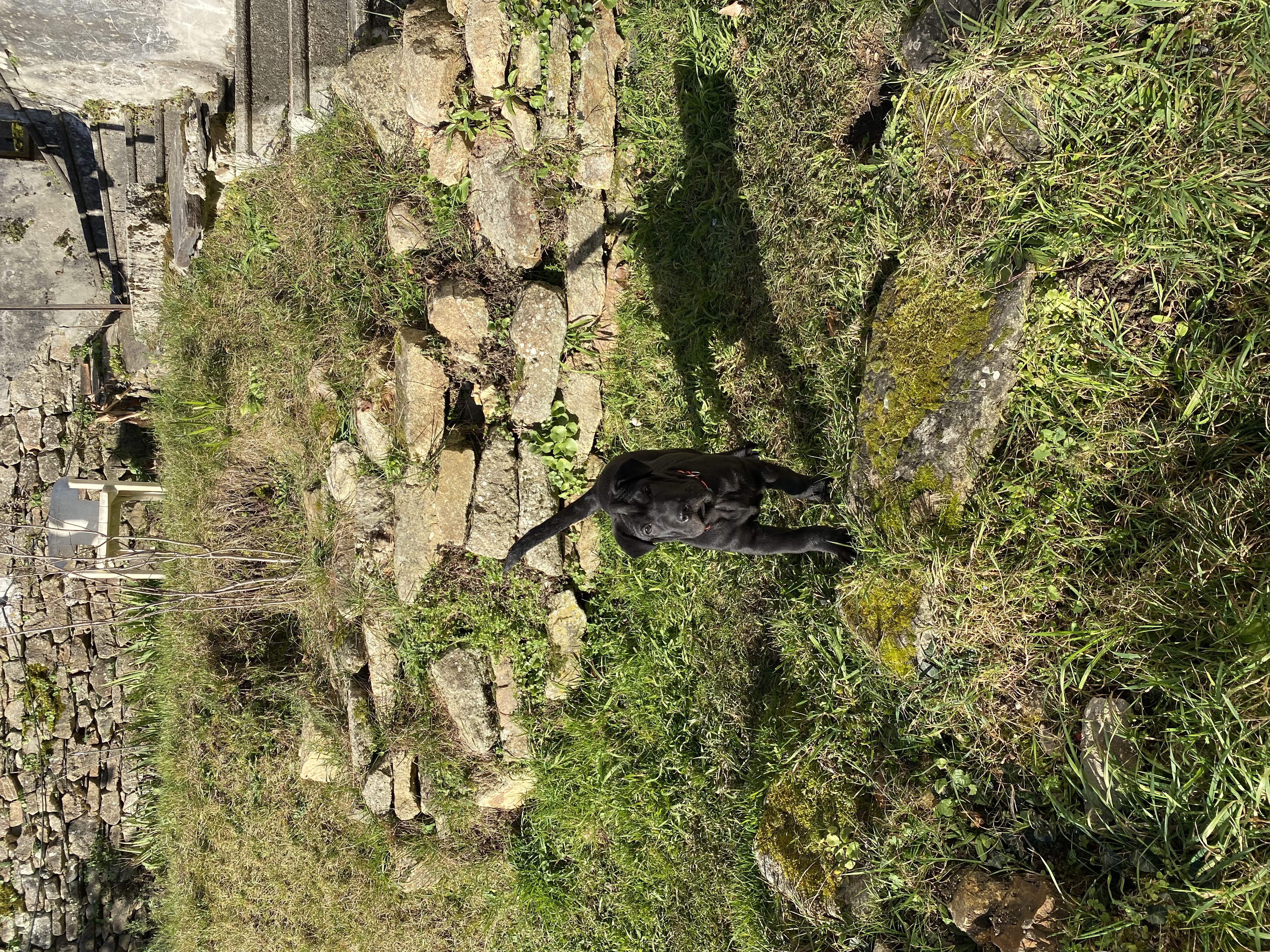 image-10