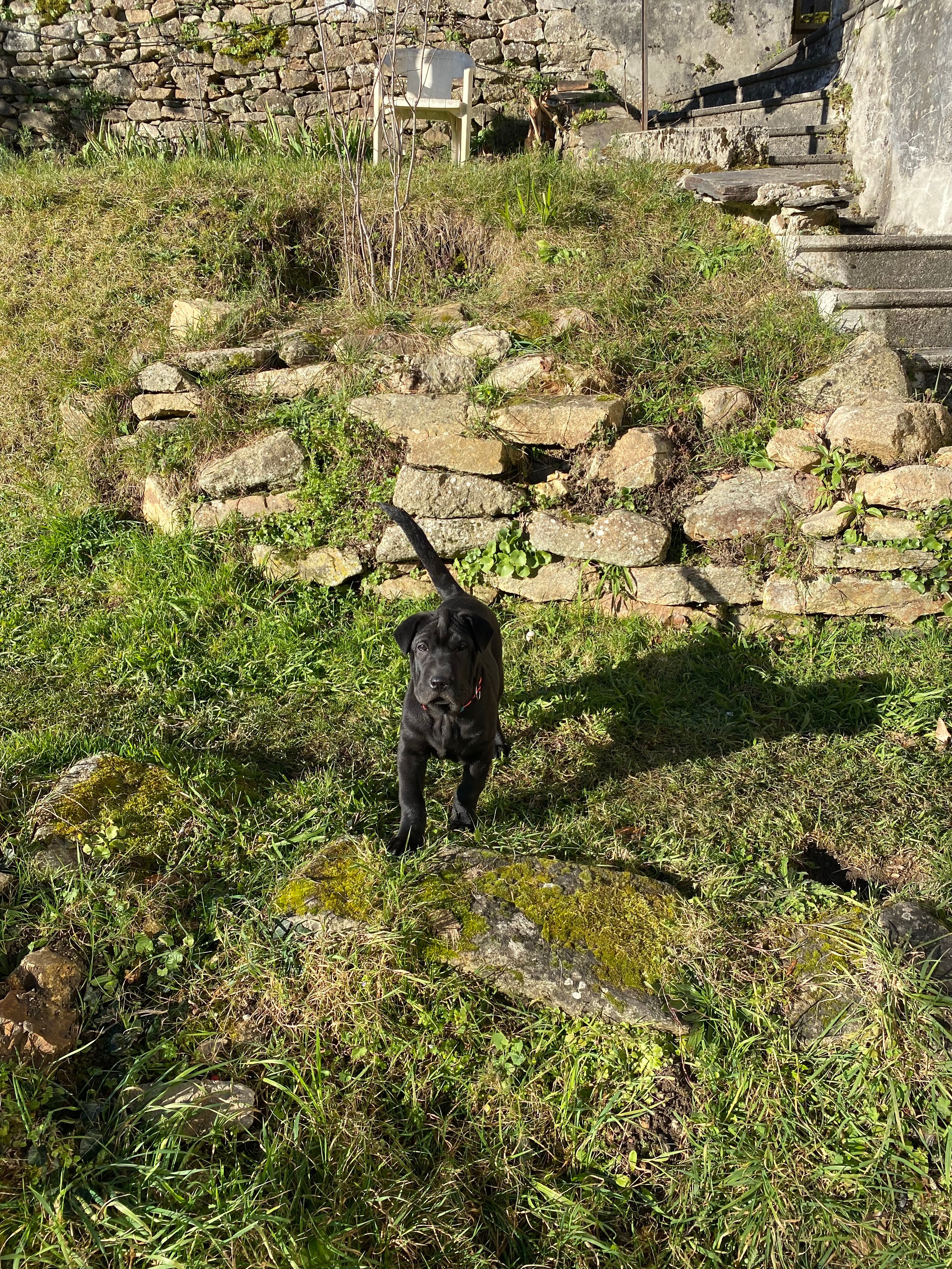 image-10