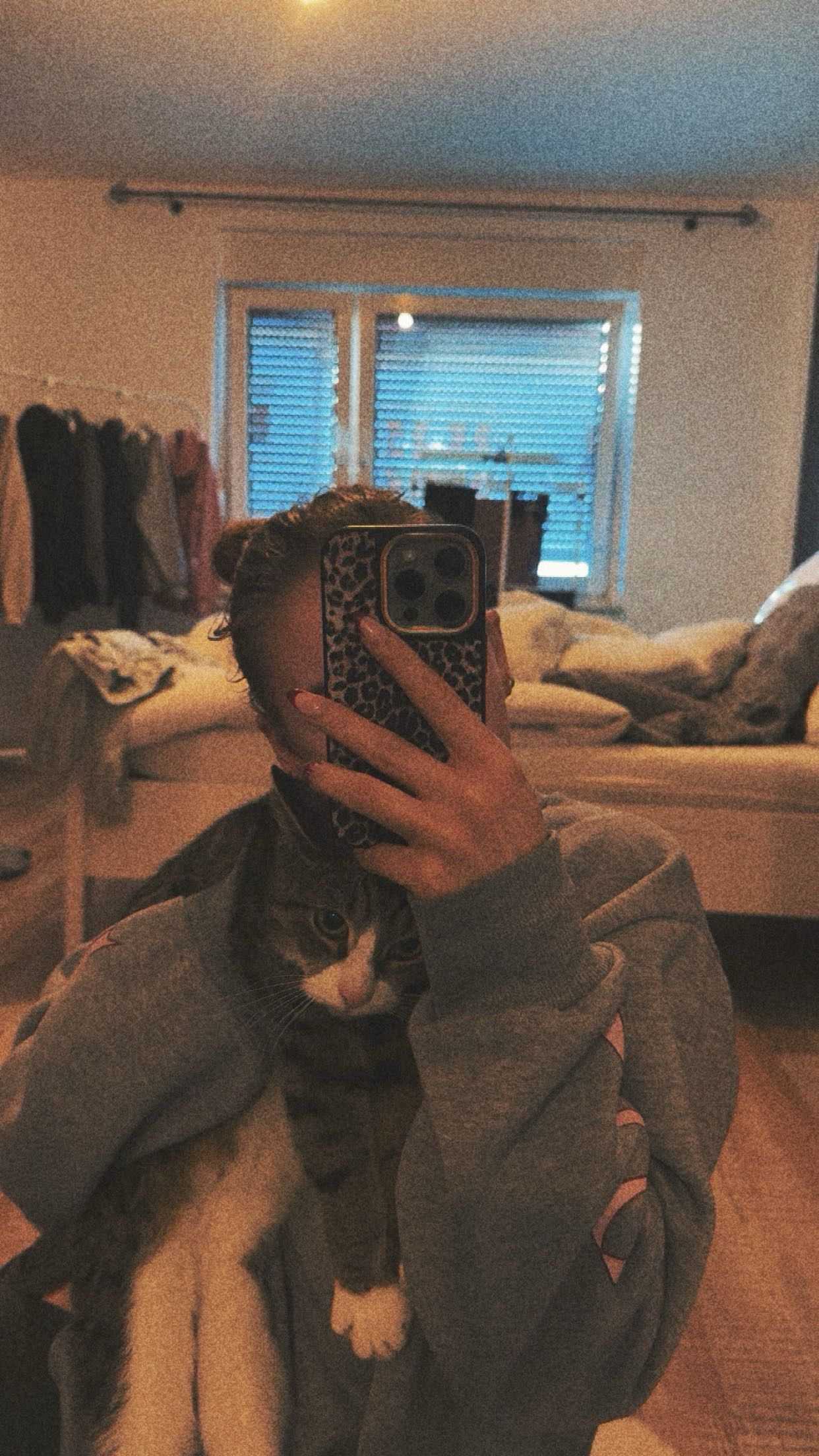 image-5