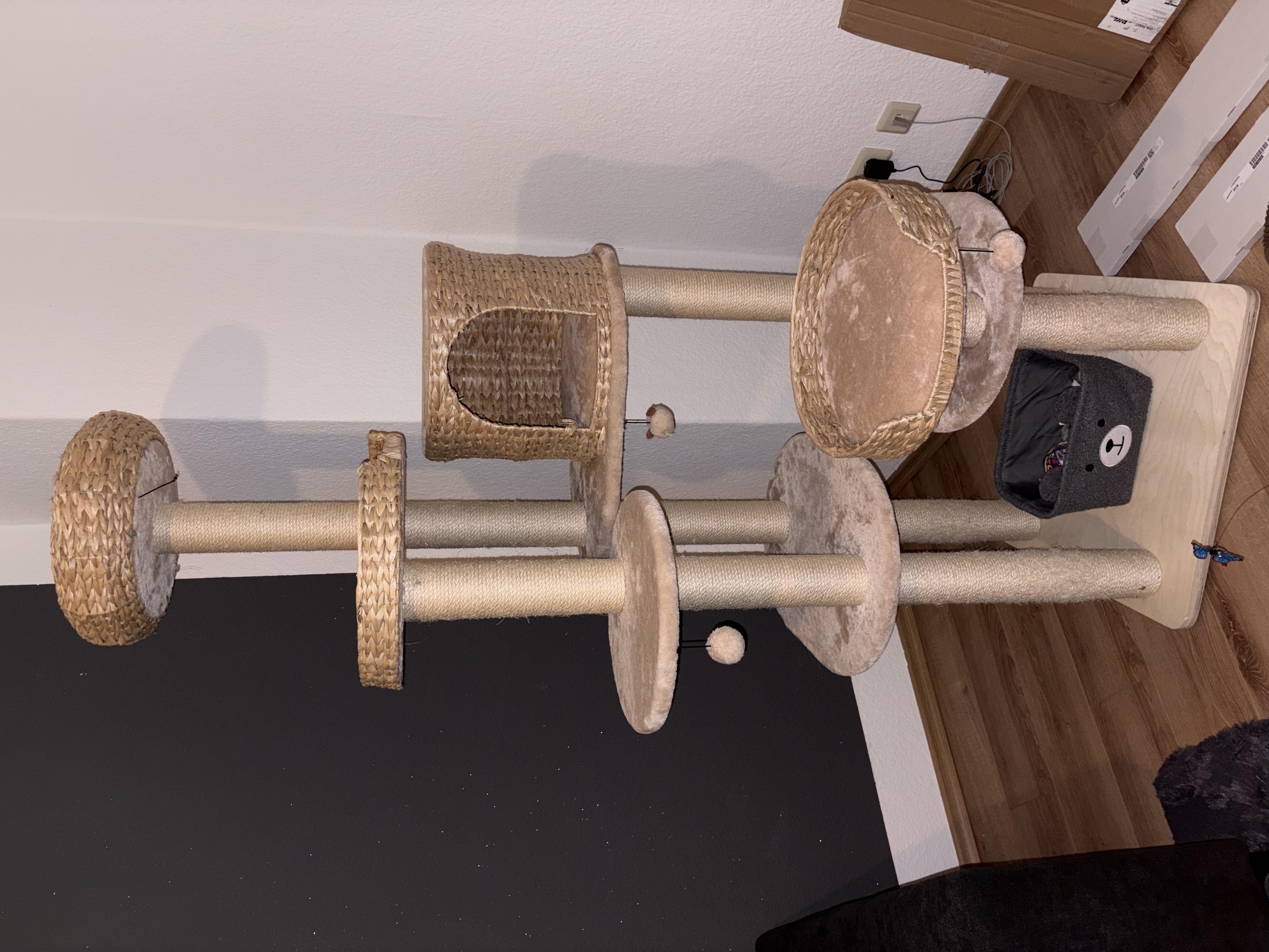 image-10