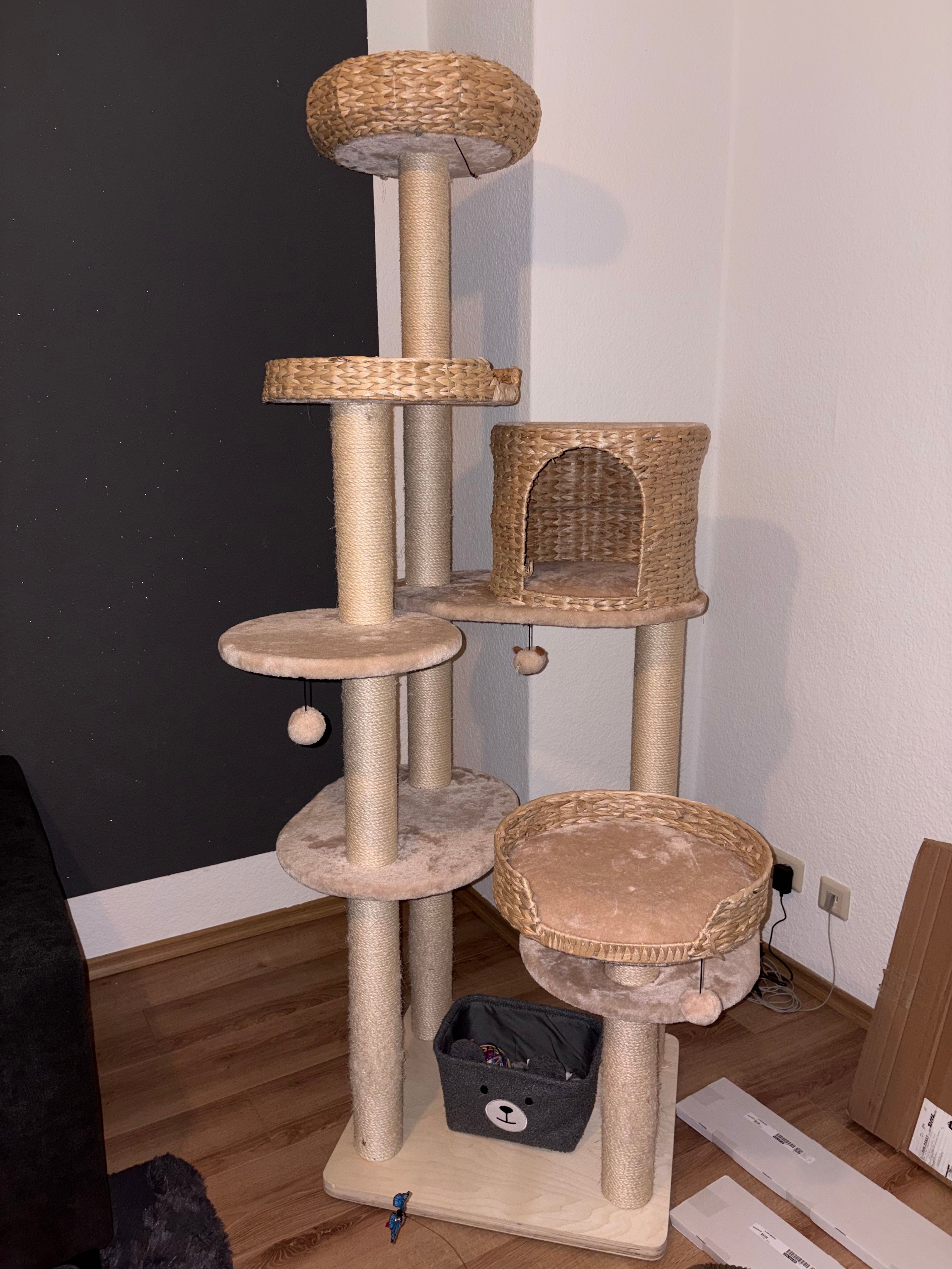 image-10