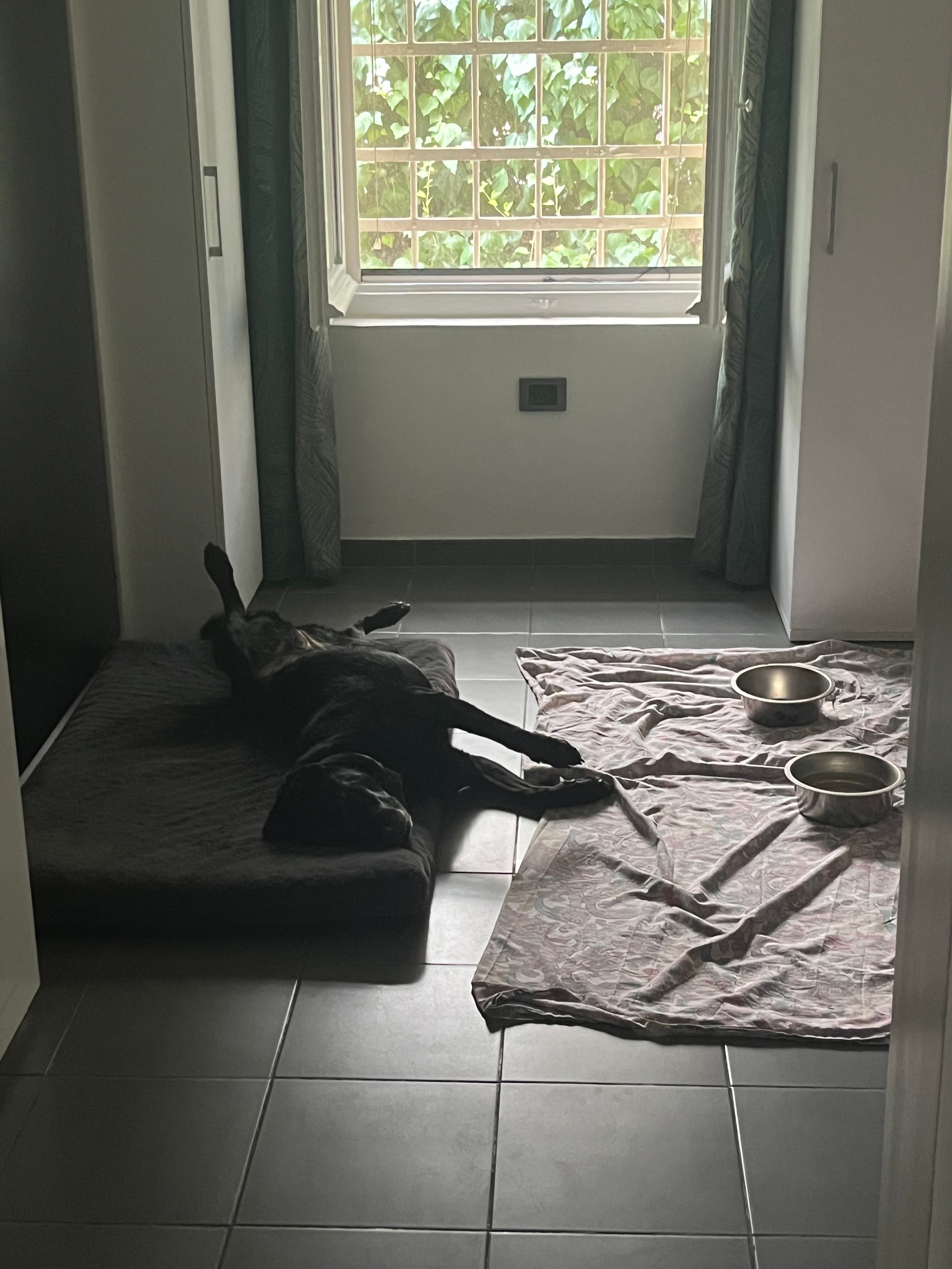 image-17