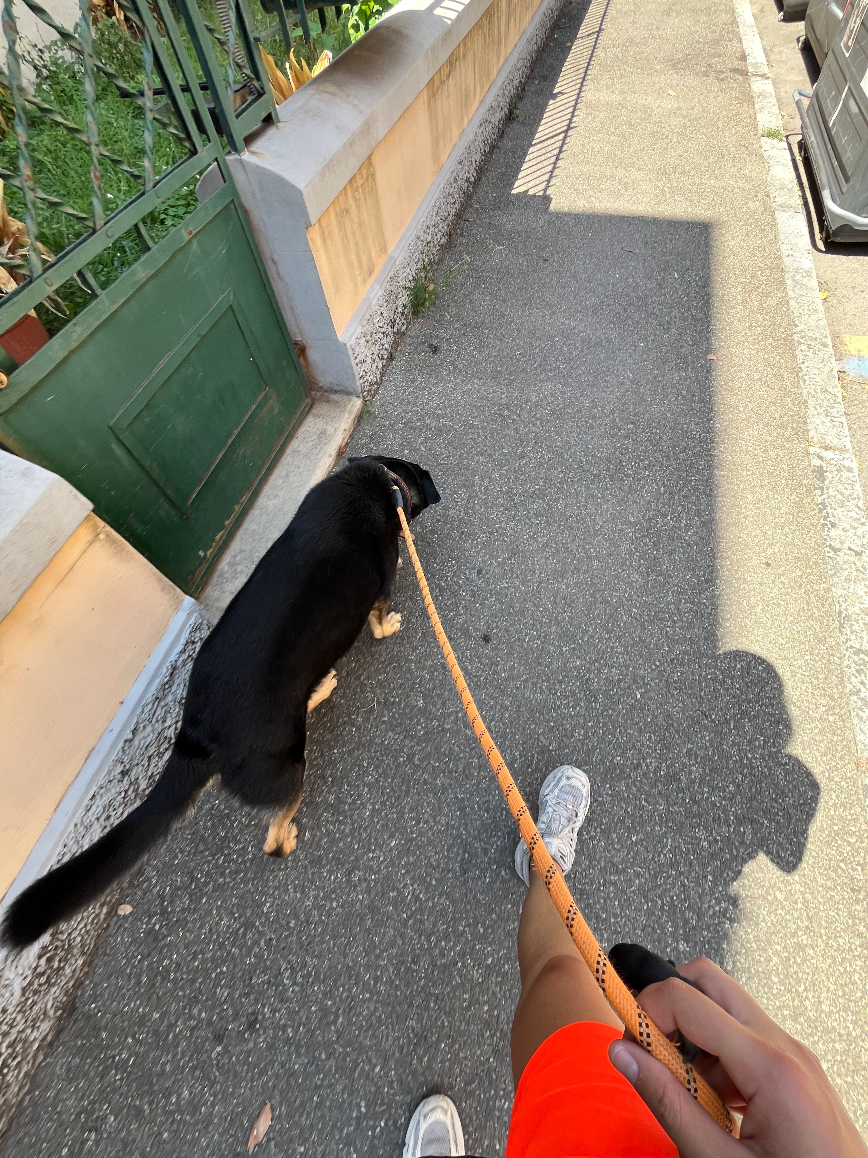 image-8