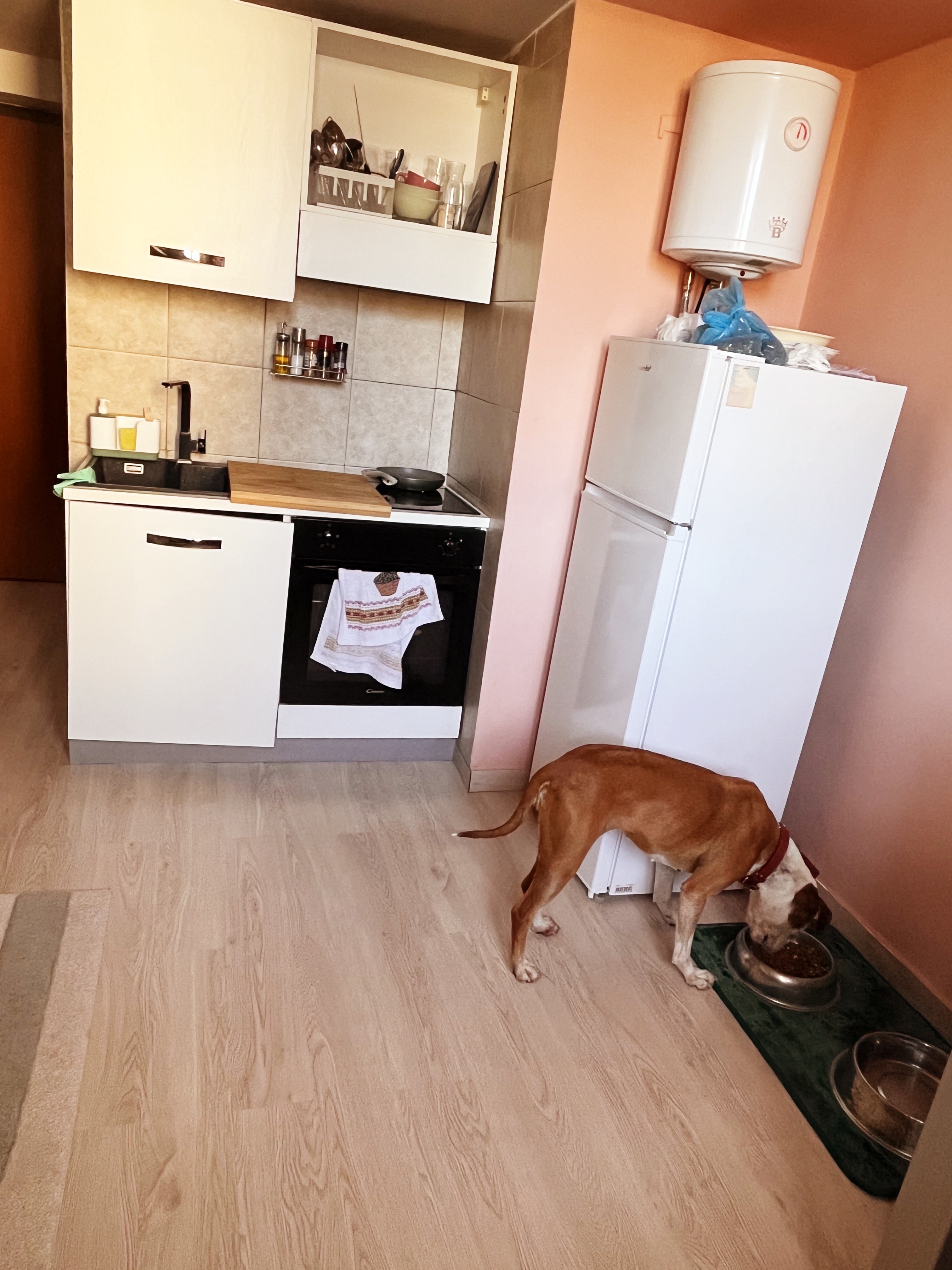 image-19