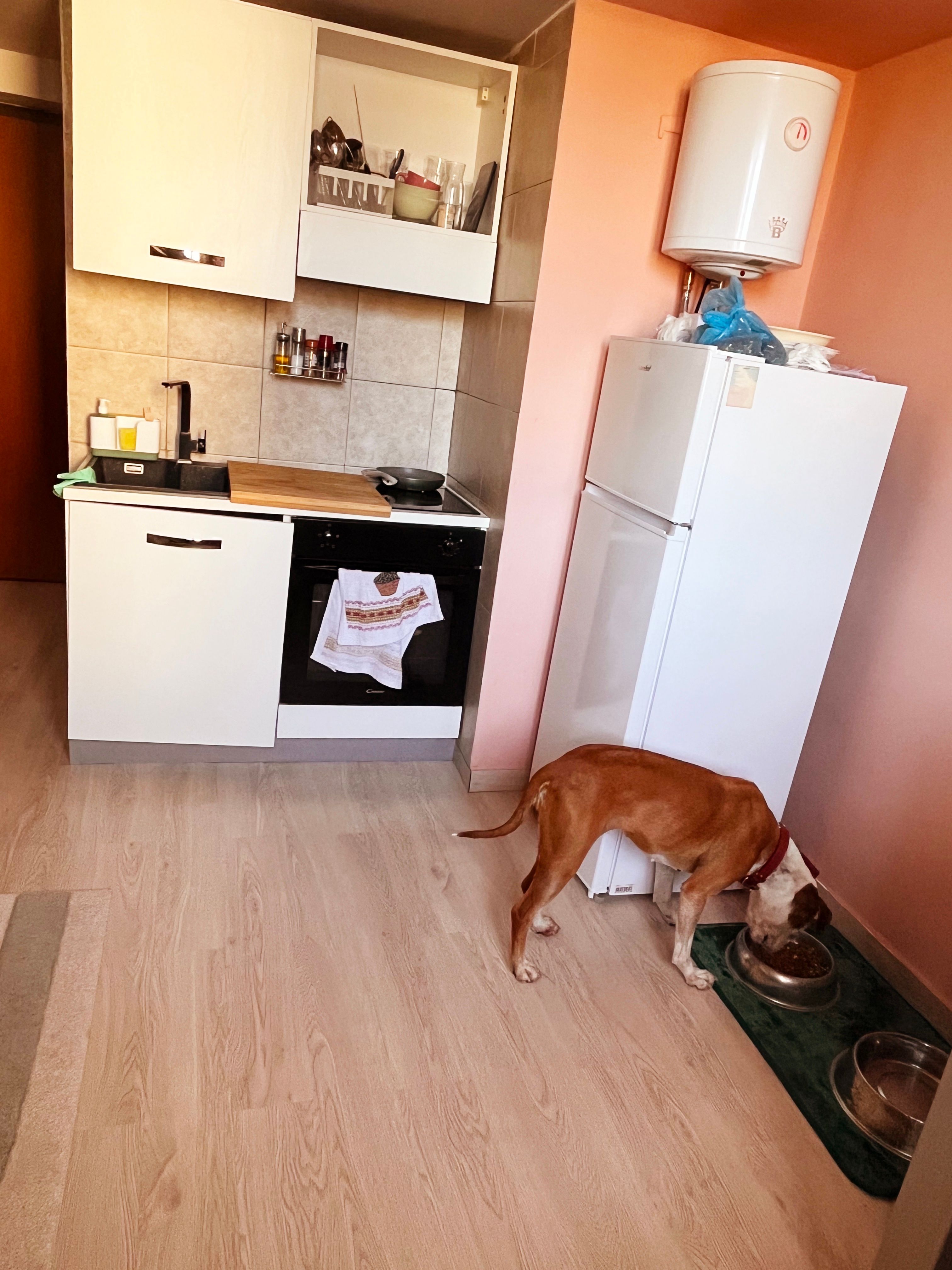 image-19