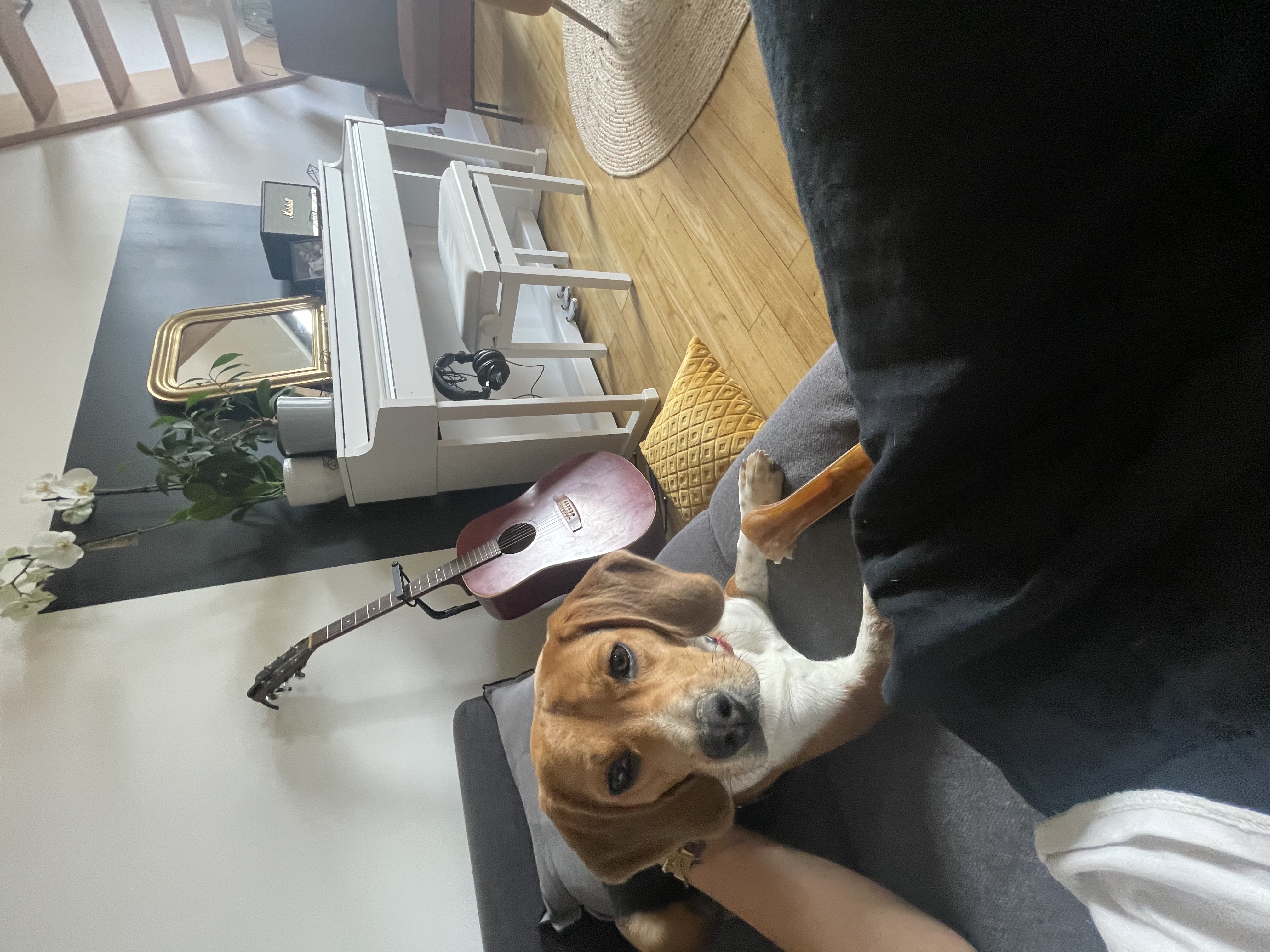 image-8