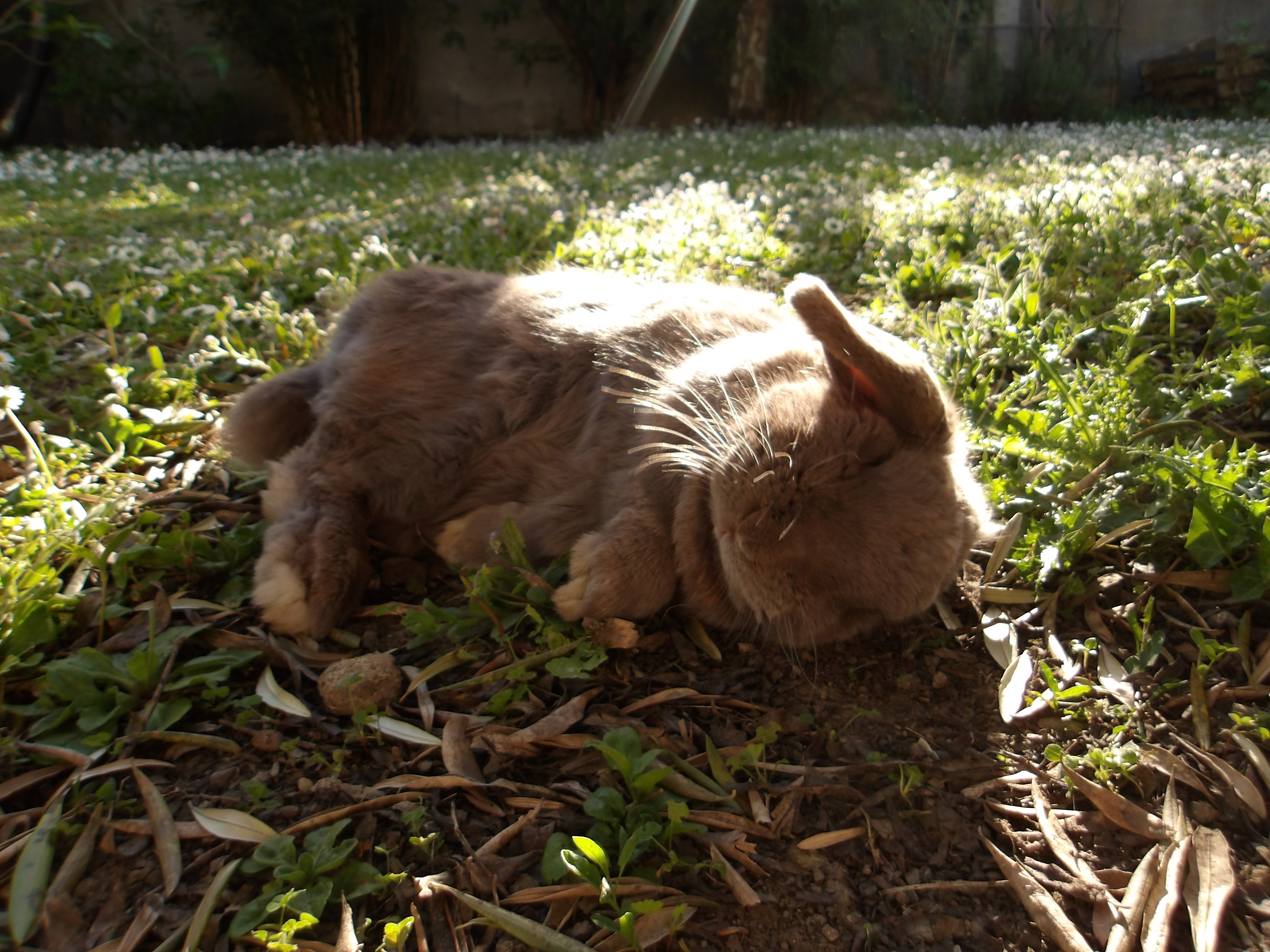 image-6