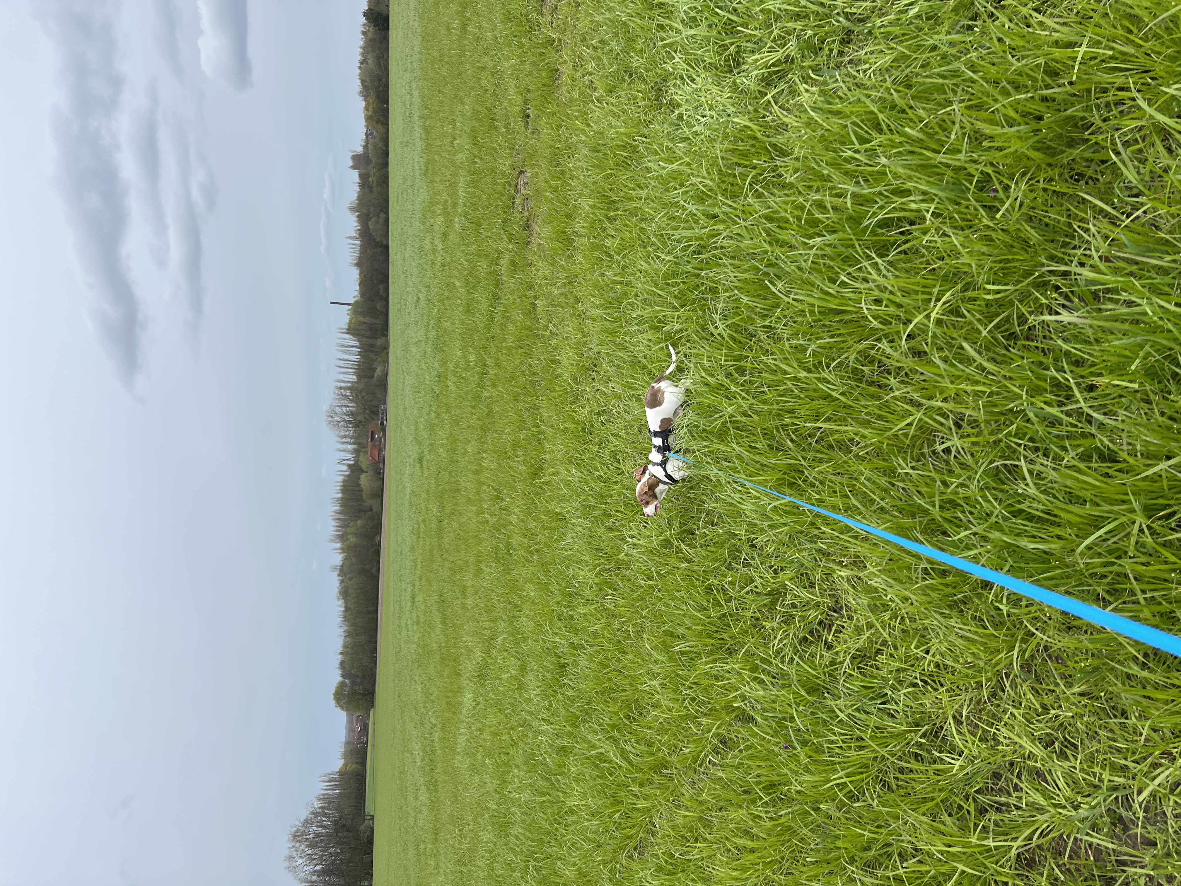 image-5