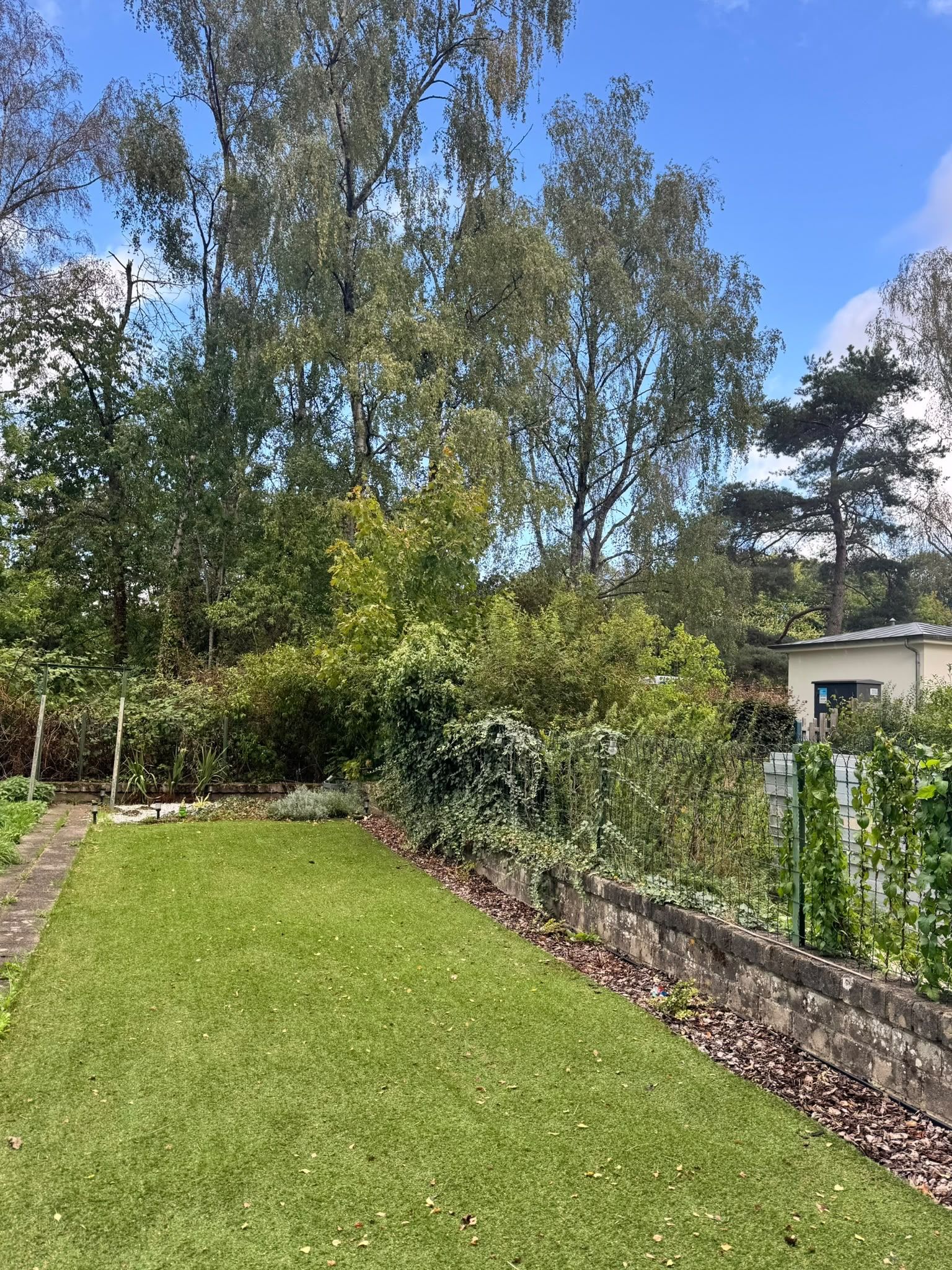 image-19