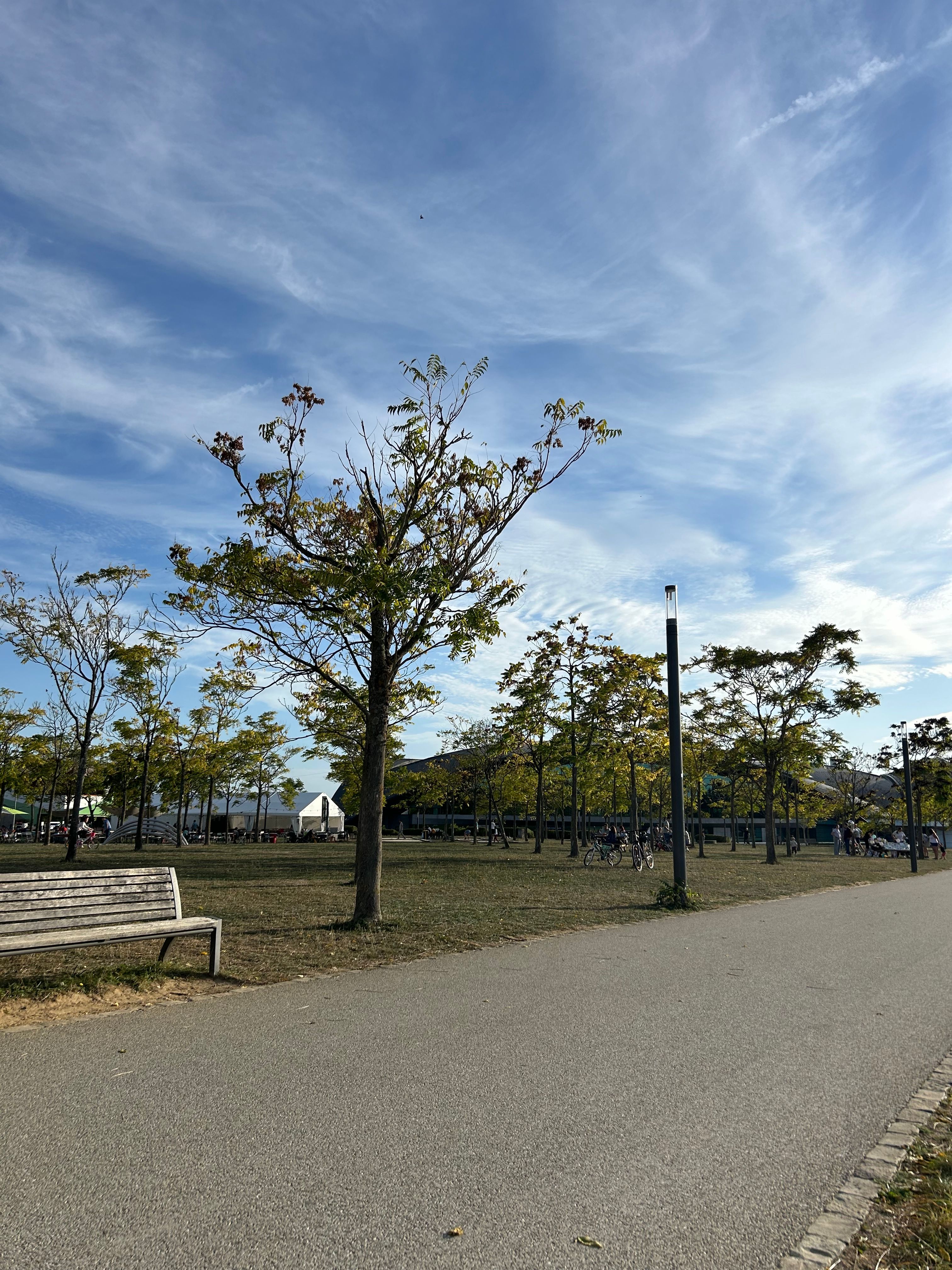 image-24