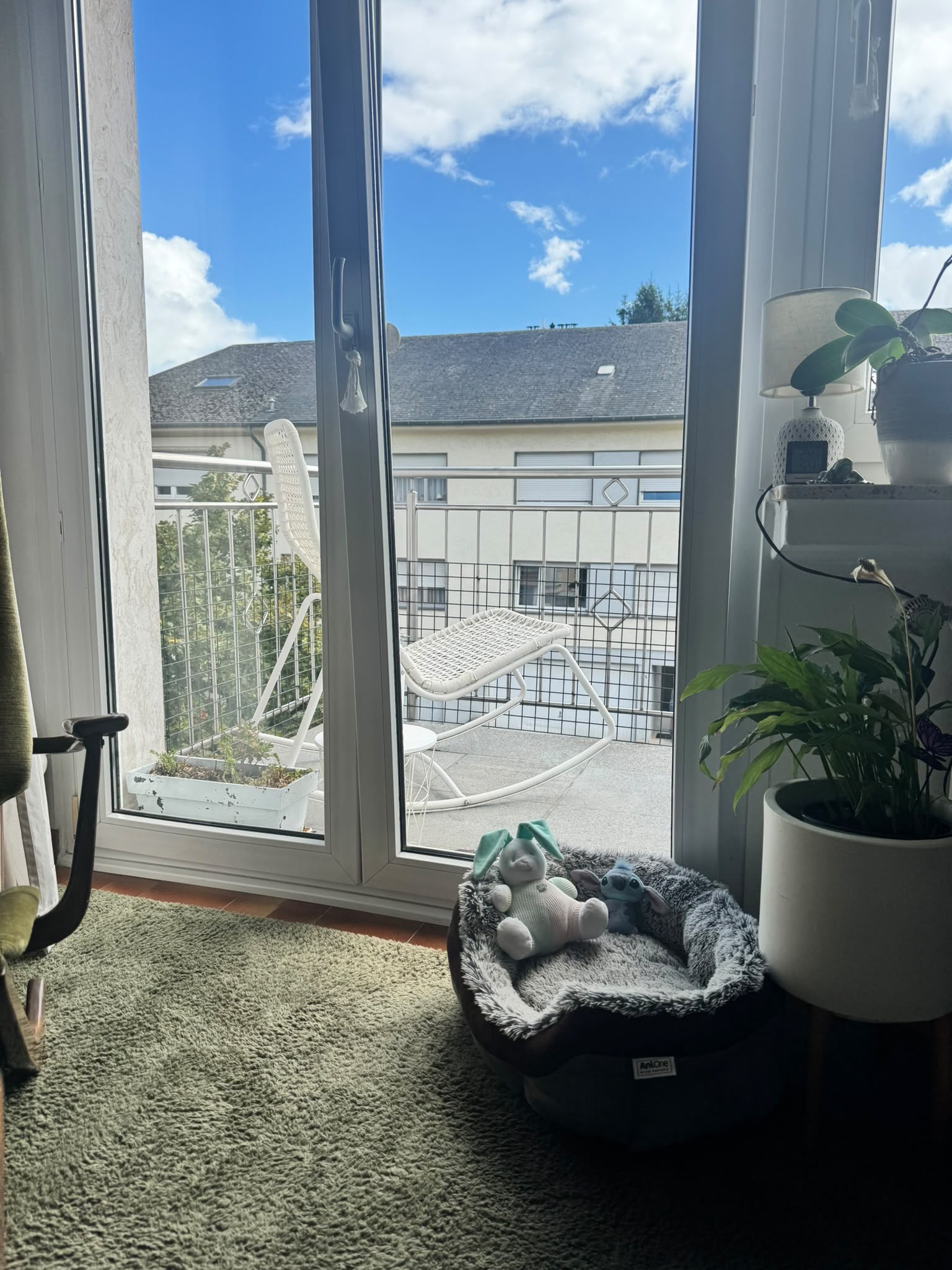 image-15