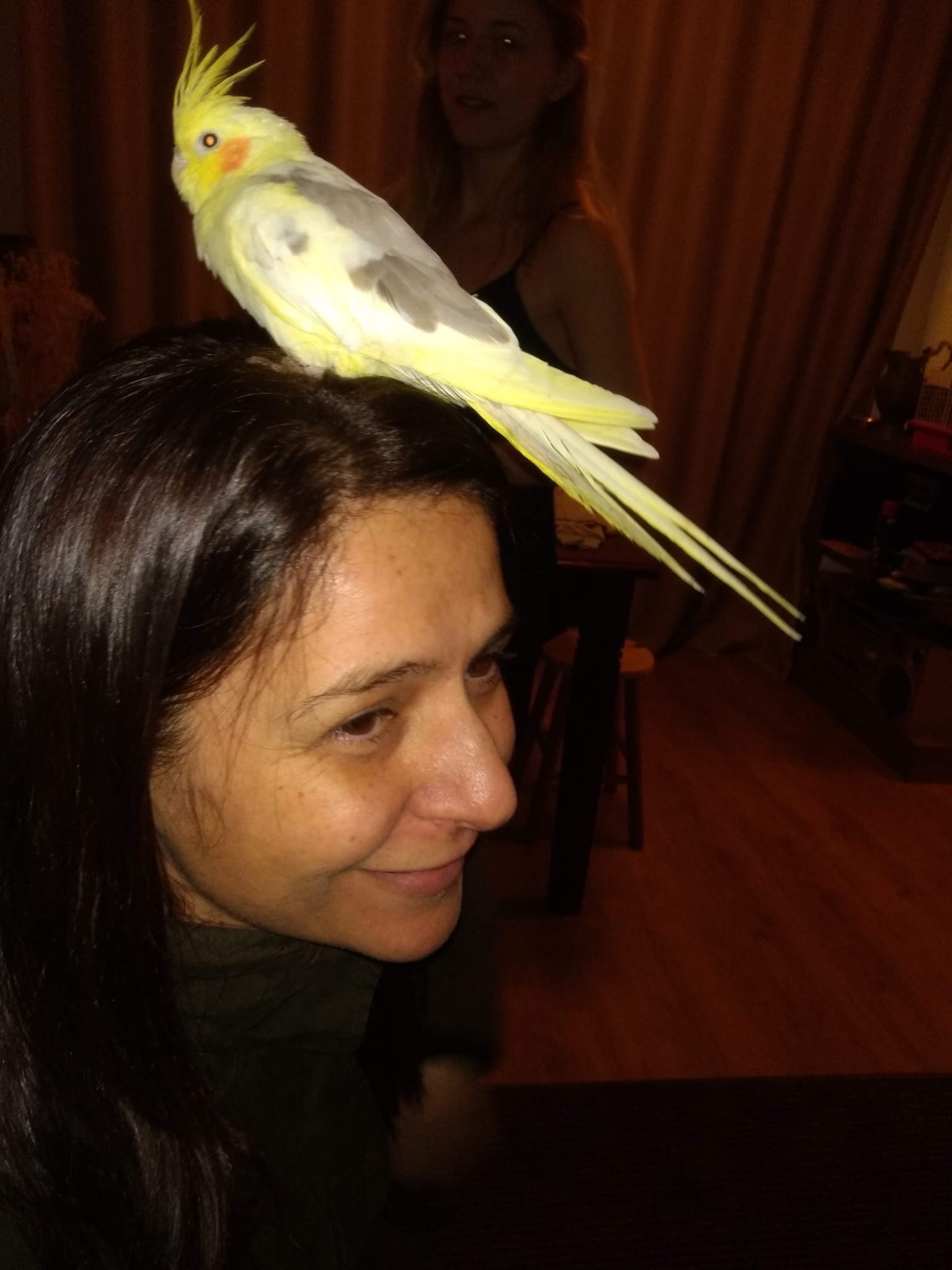 image-12