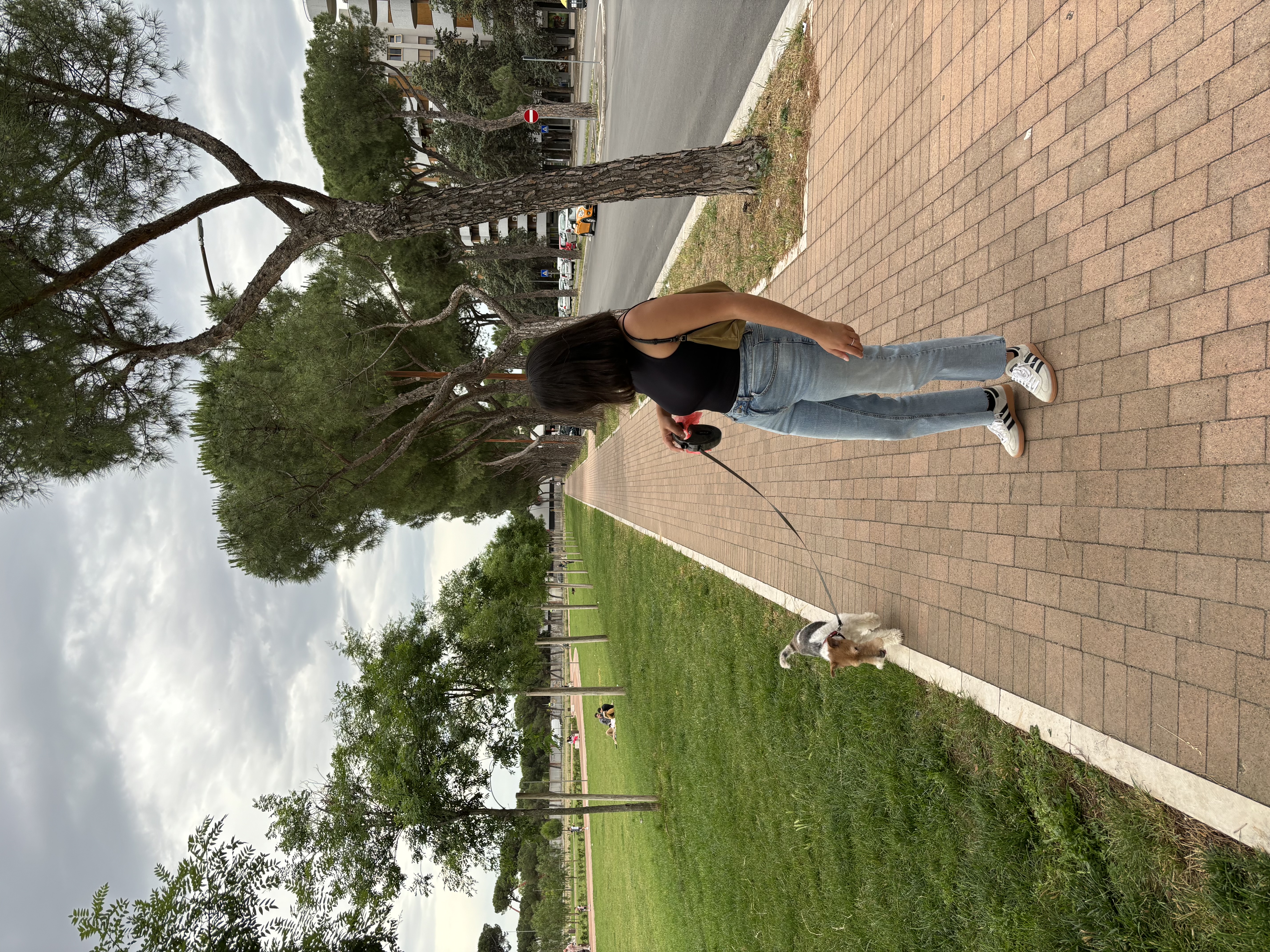 image-4