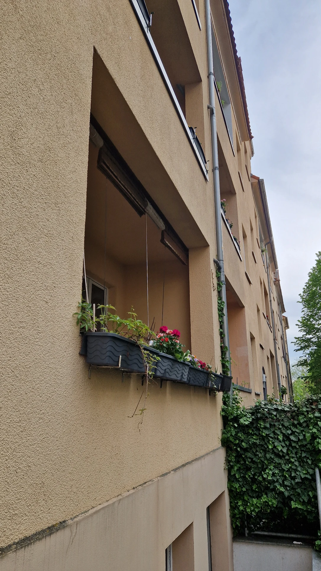 image-25