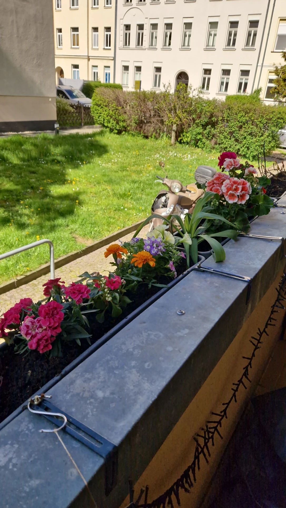 image-16