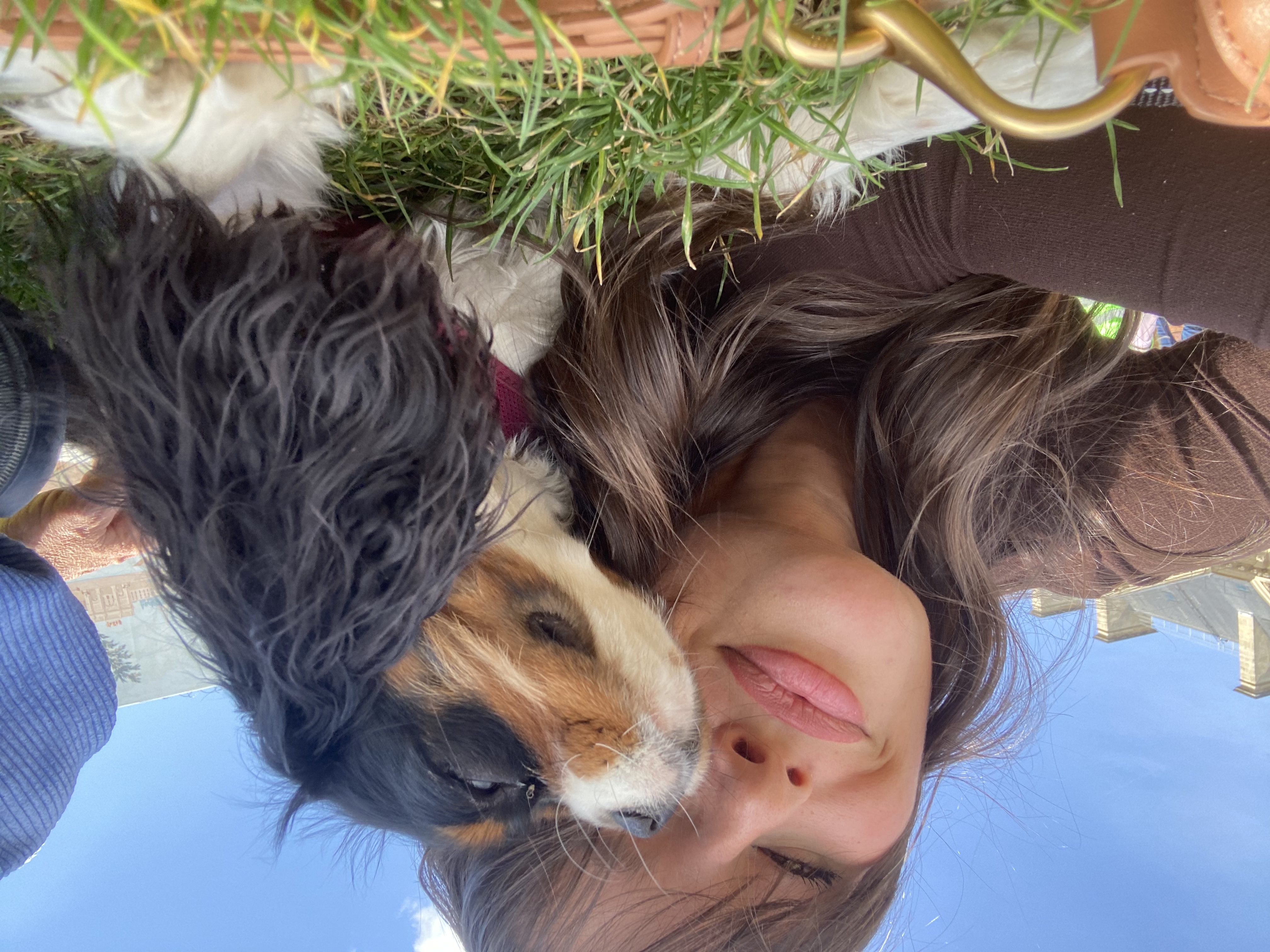 image-0