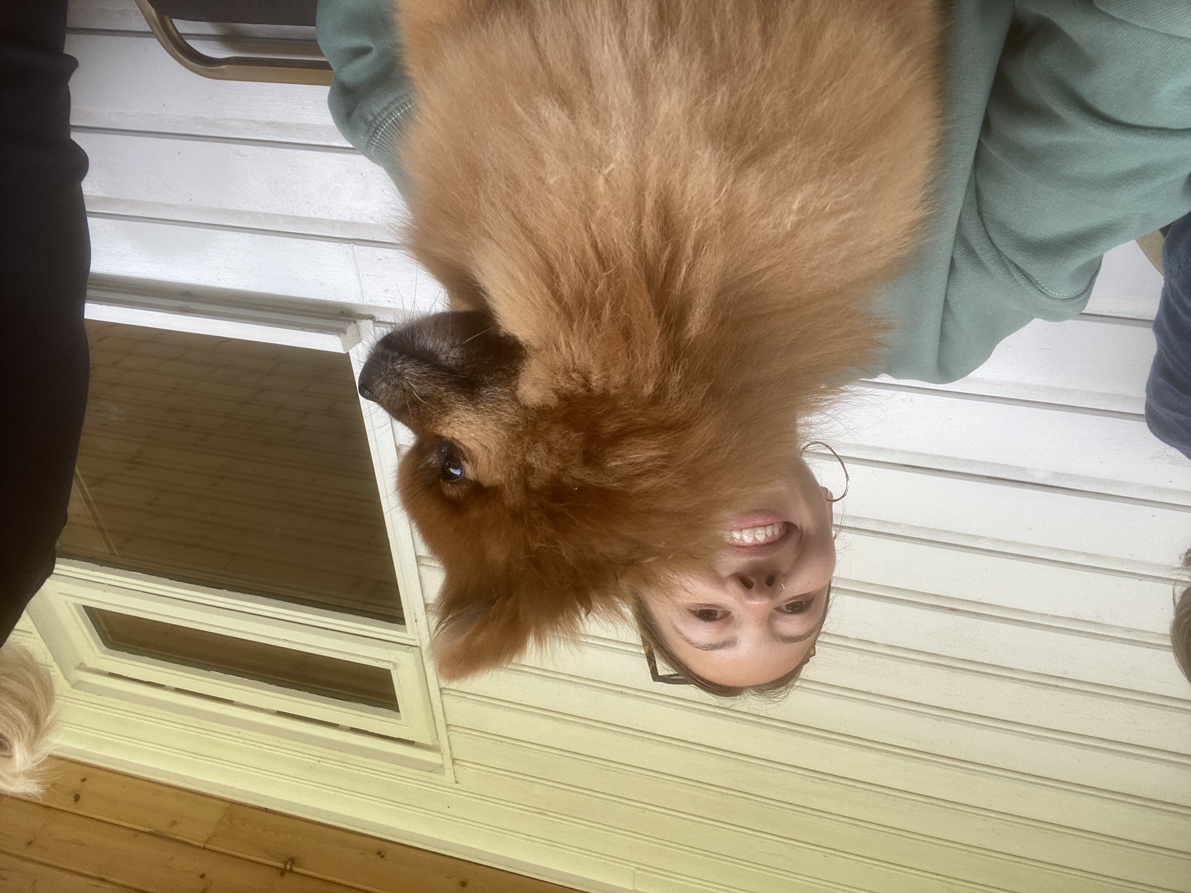 image-10