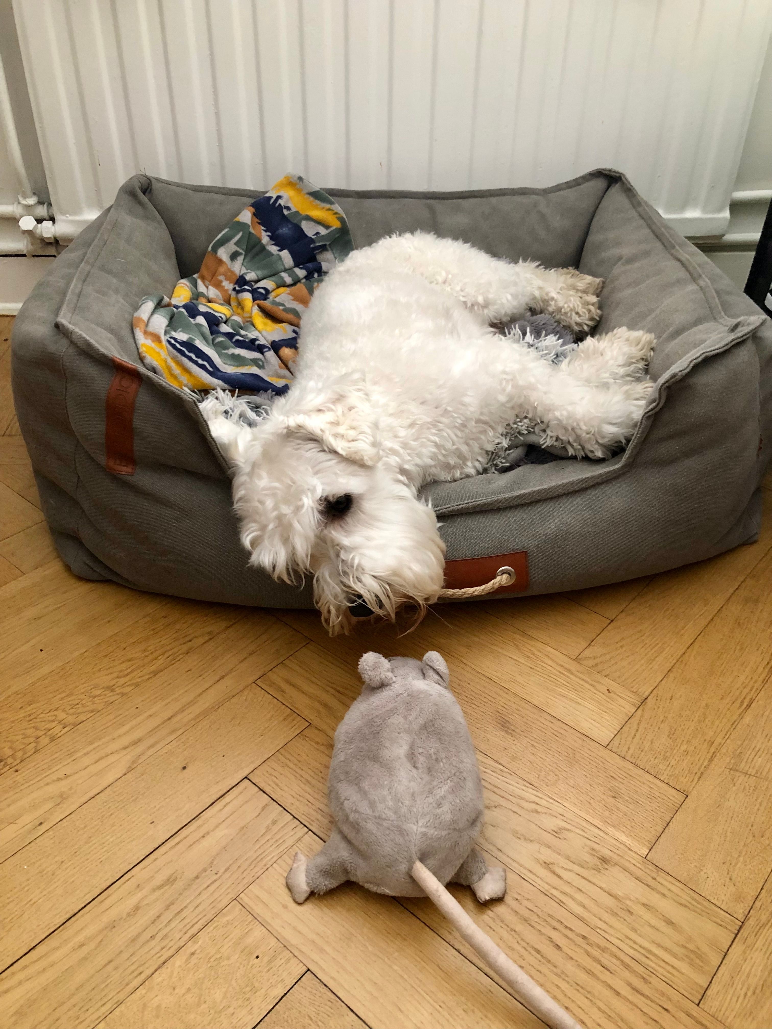 image-10