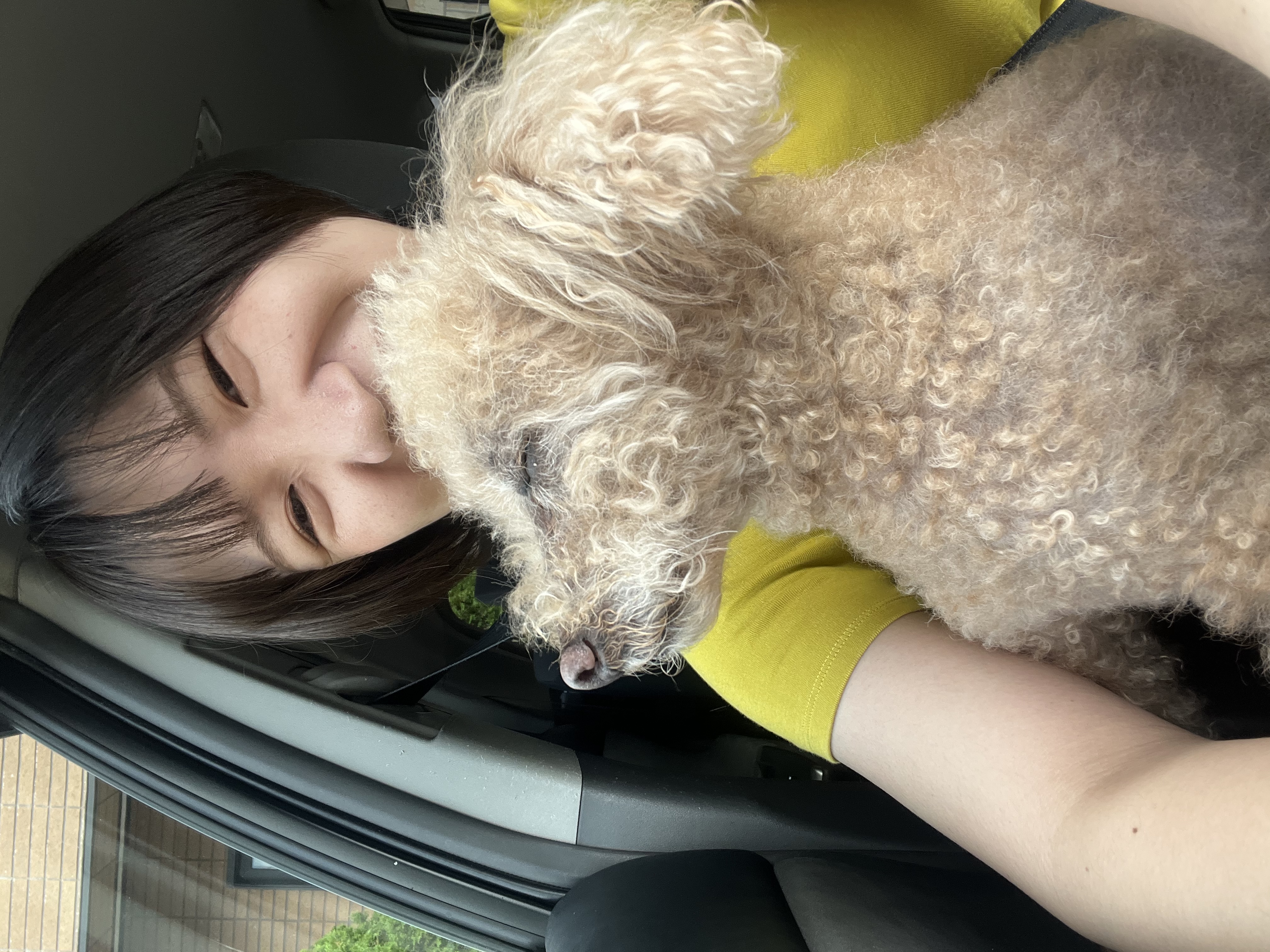 image-3