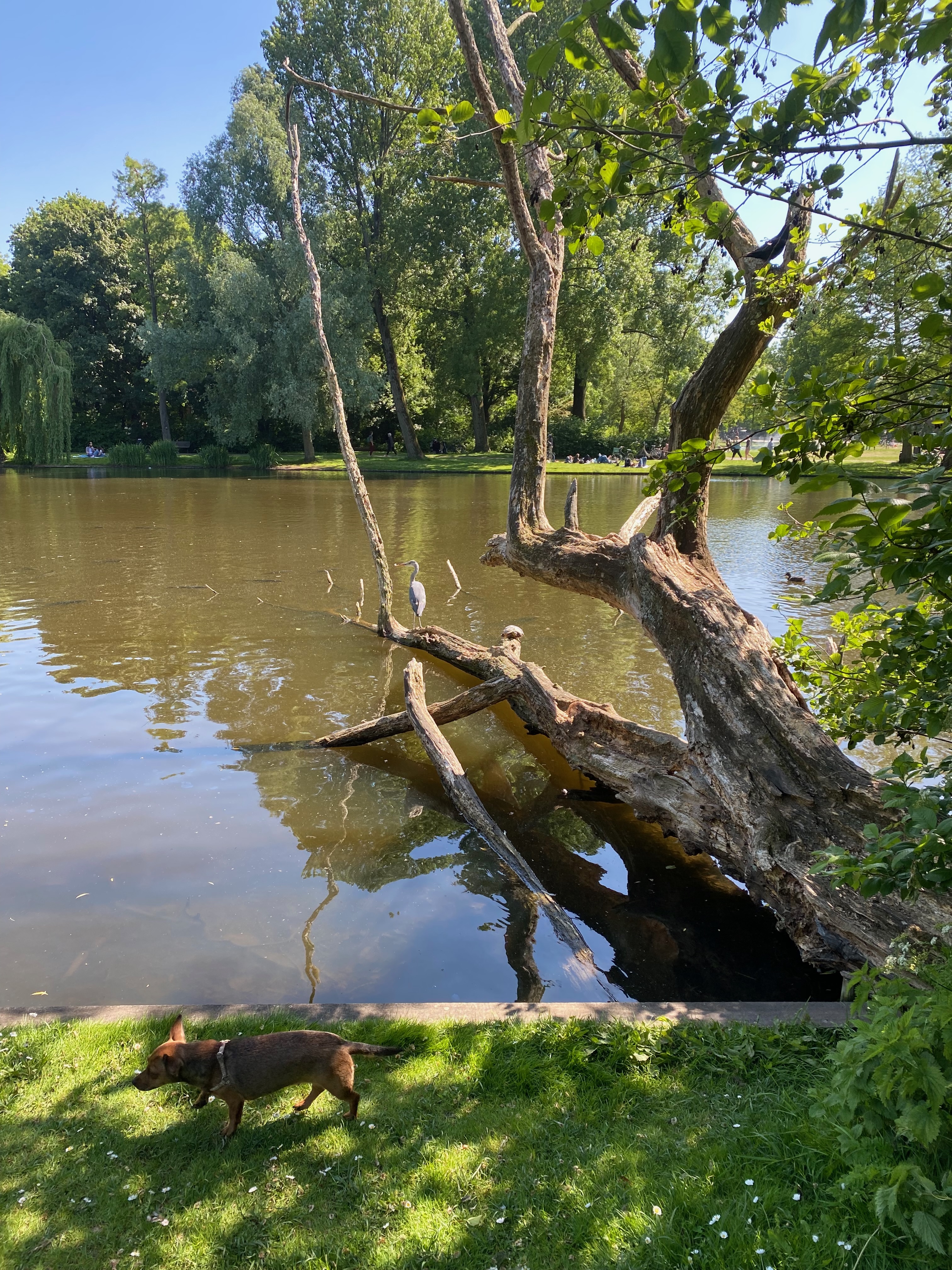 image-20