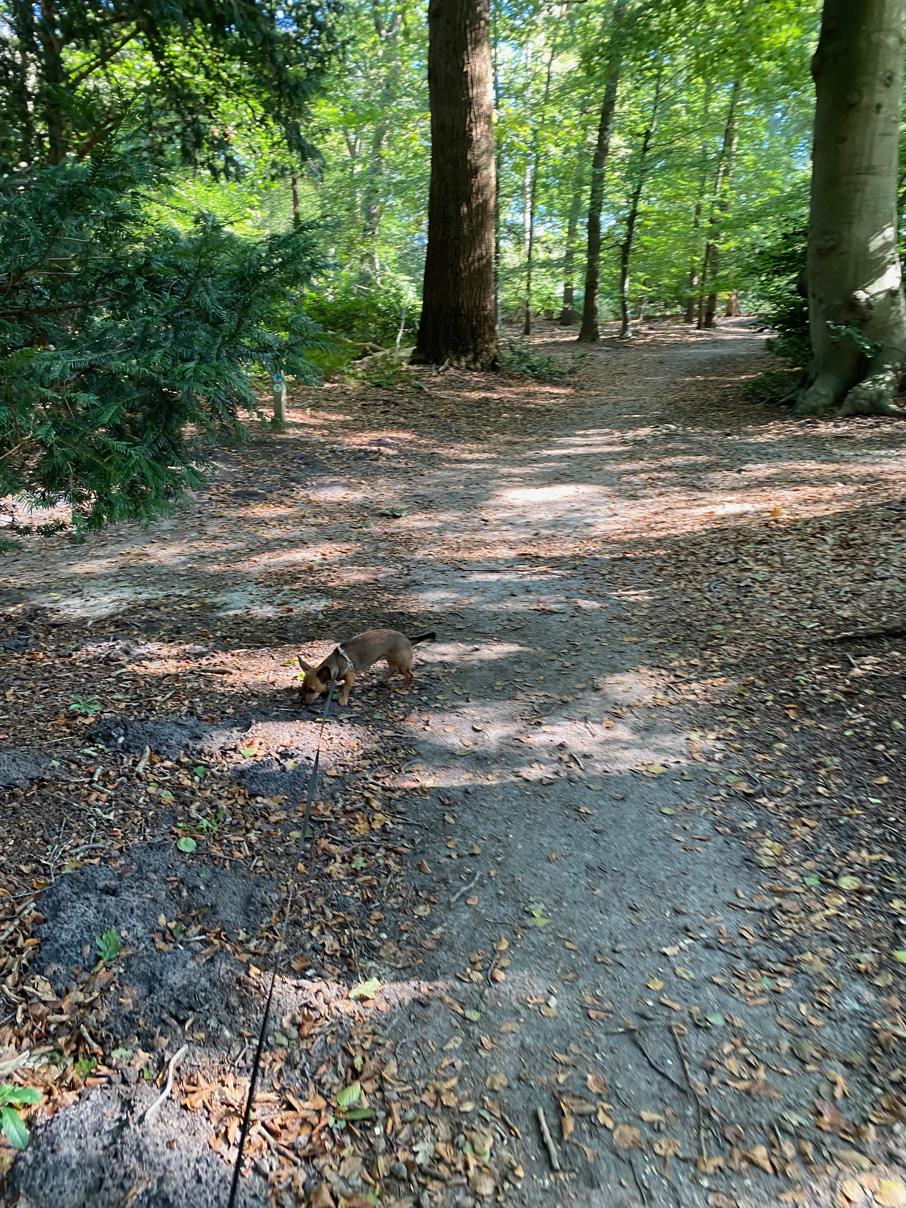 image-18