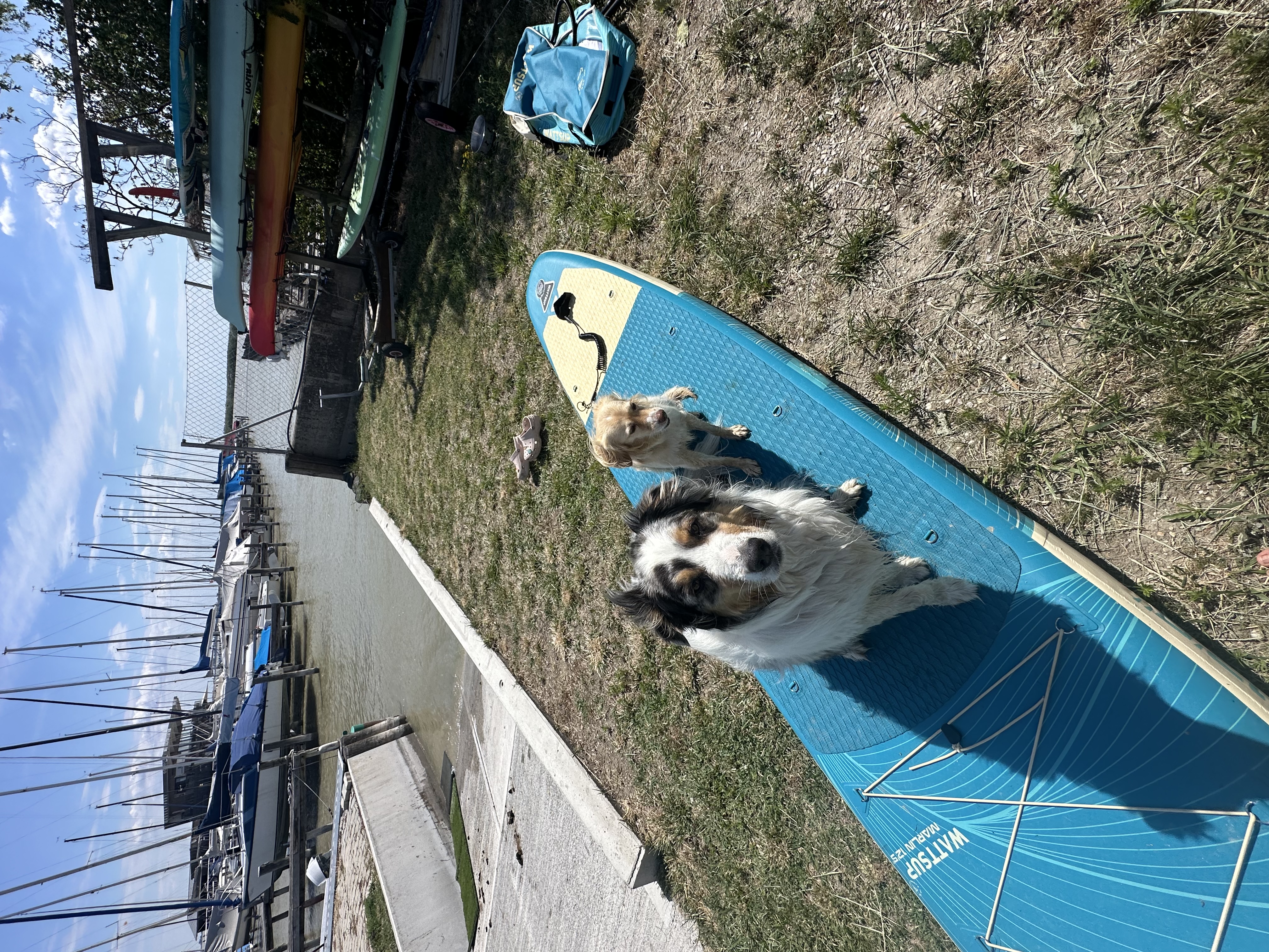 image-37