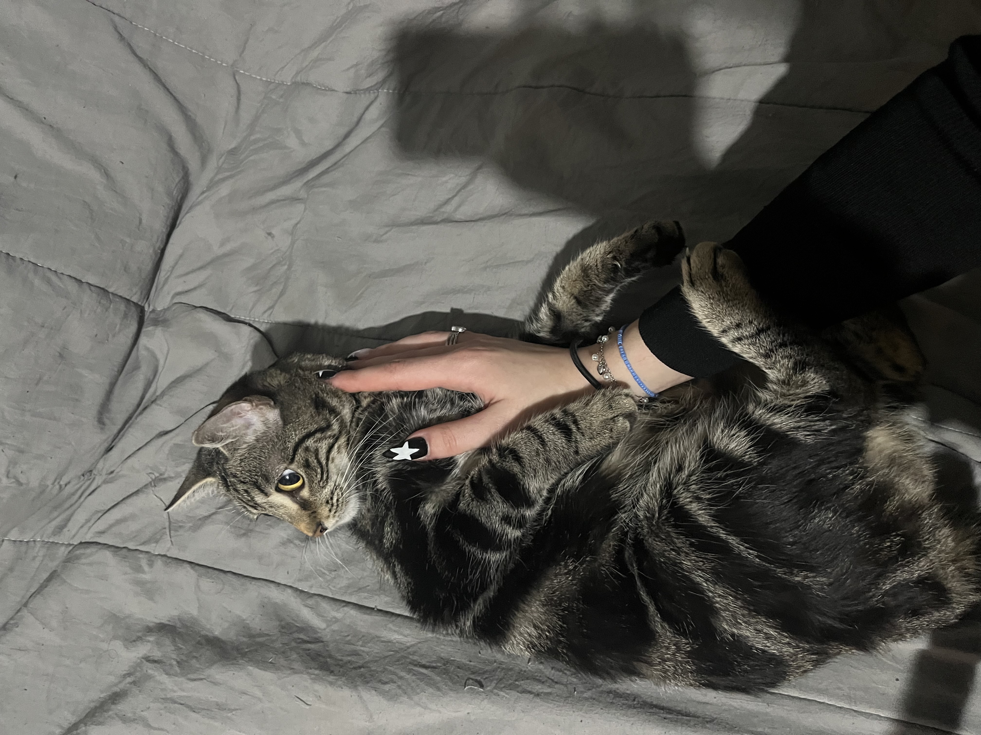 image-9
