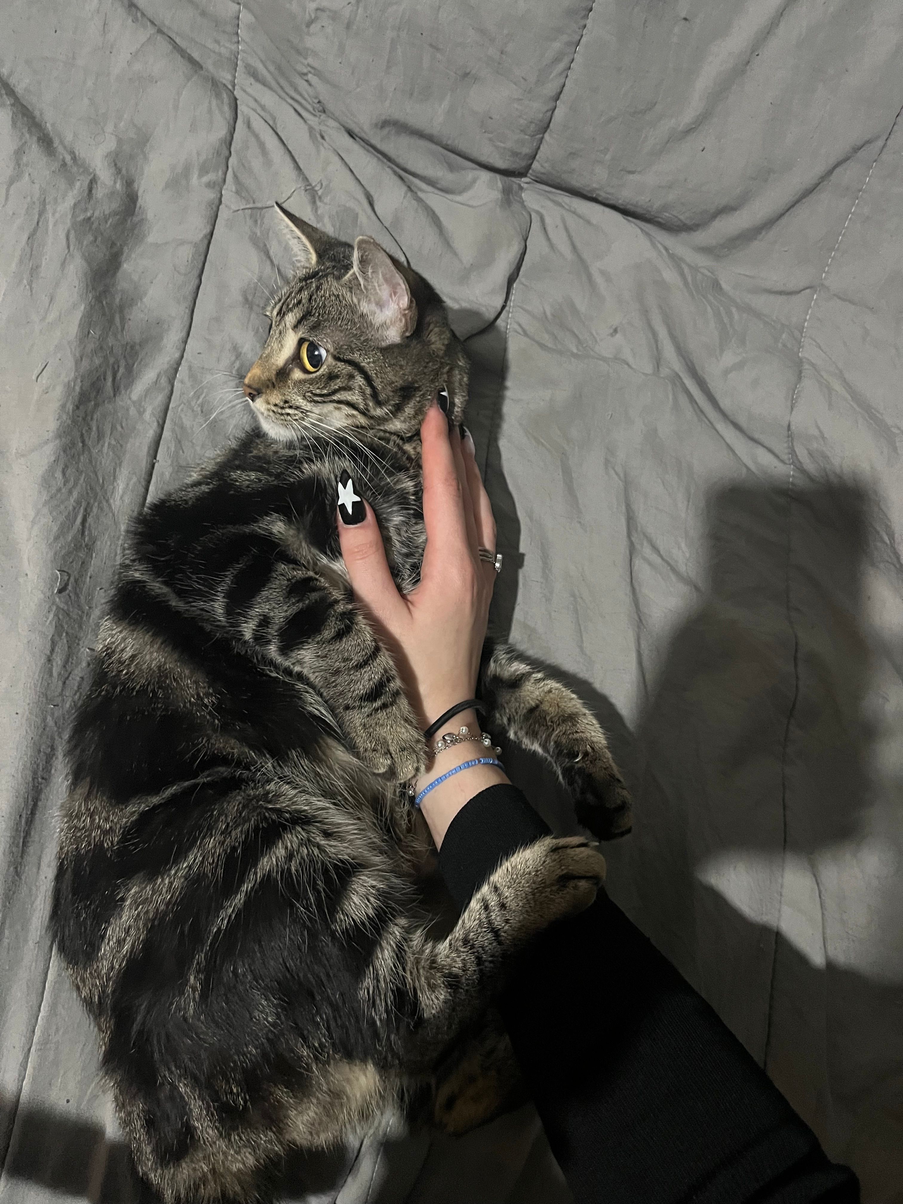 image-9