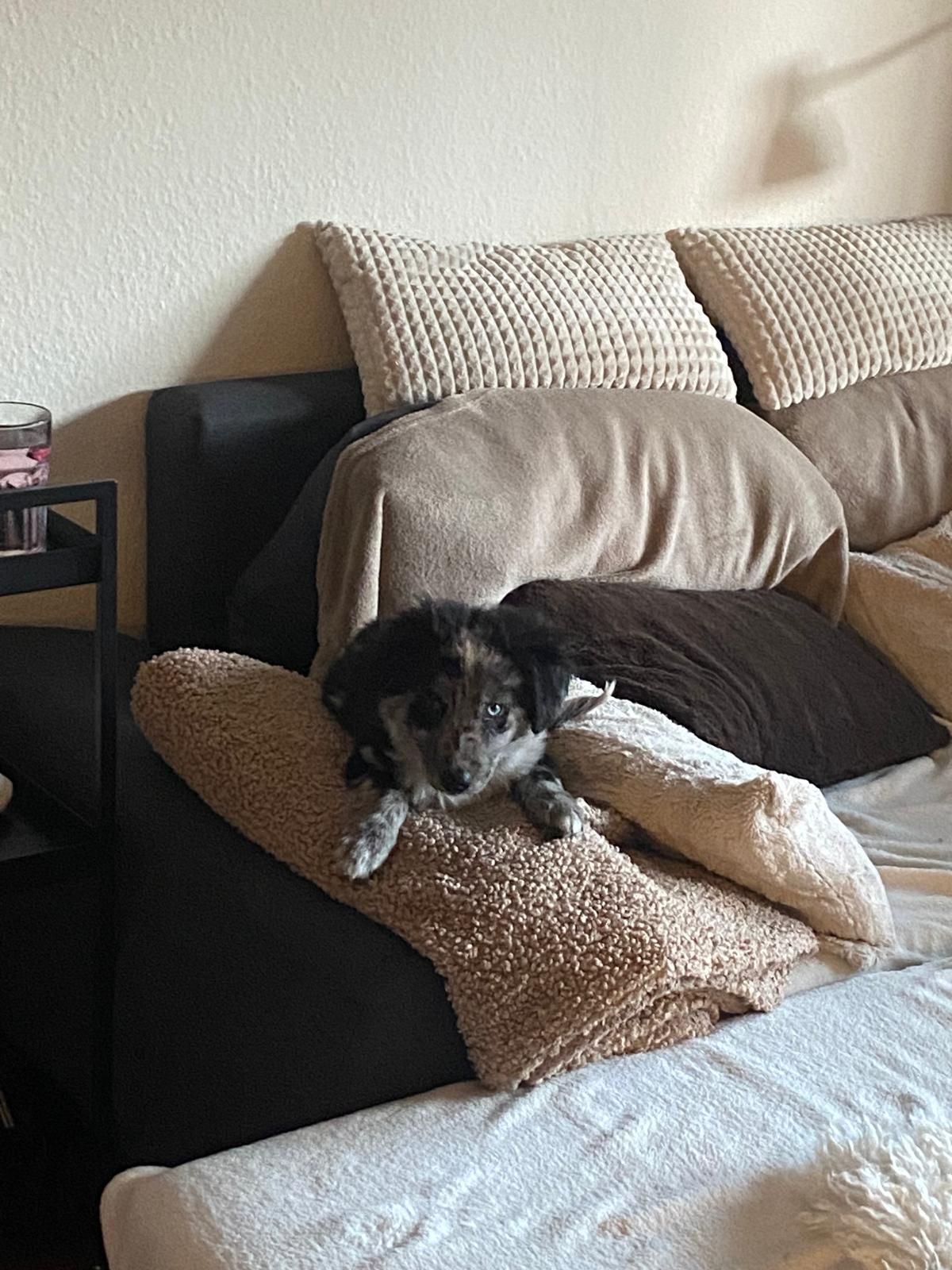 image-14