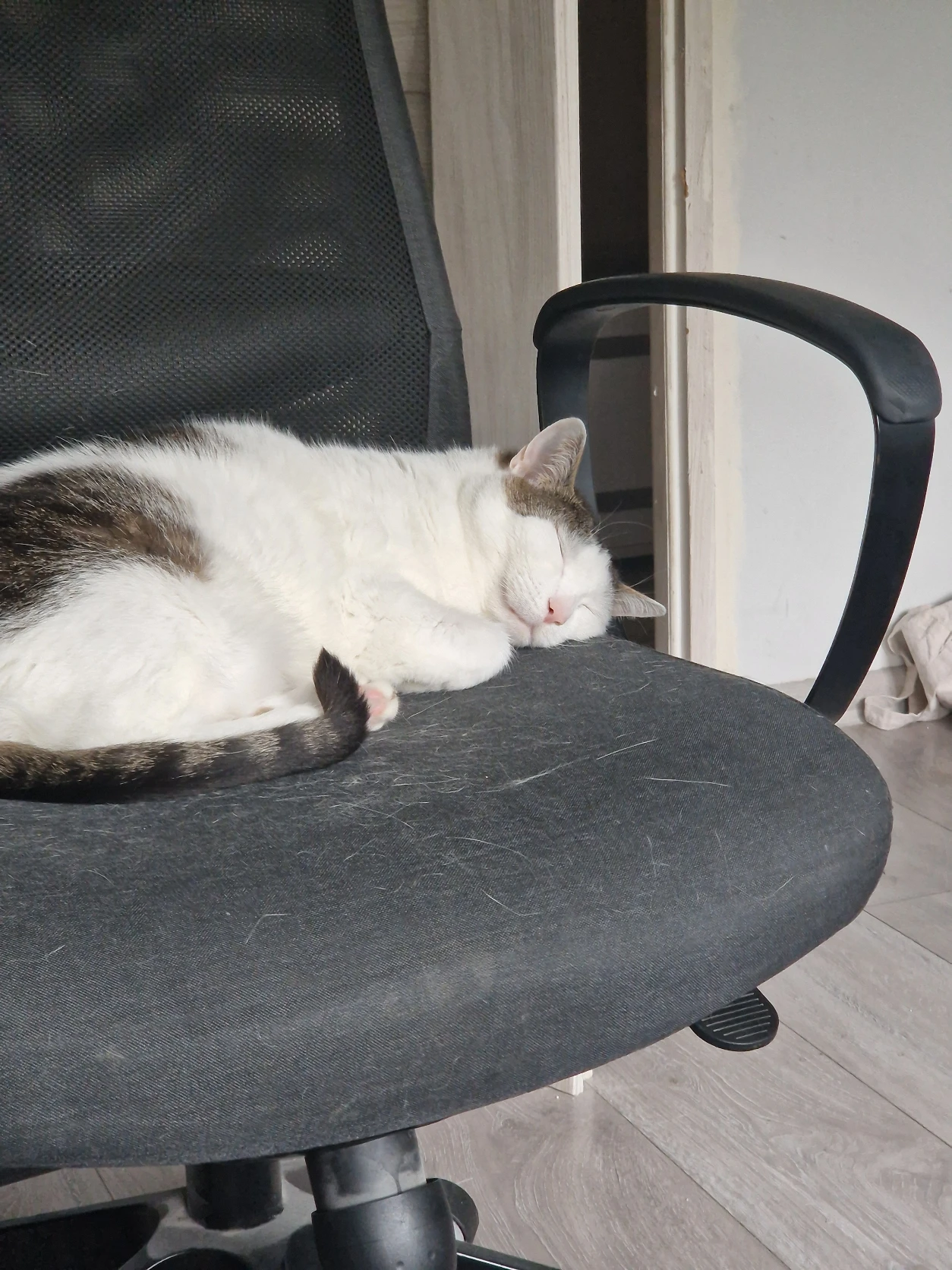 image-6