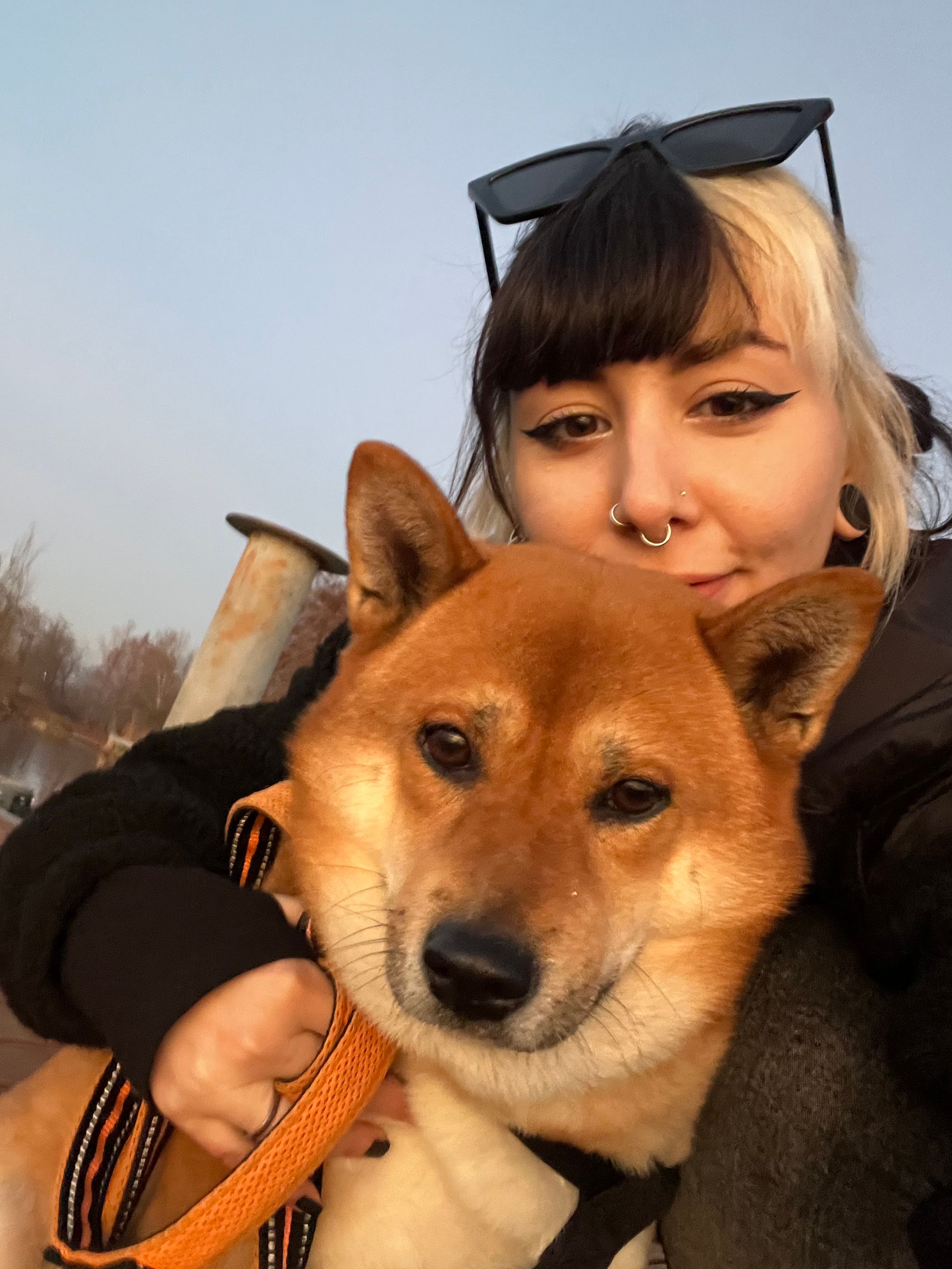 image-4