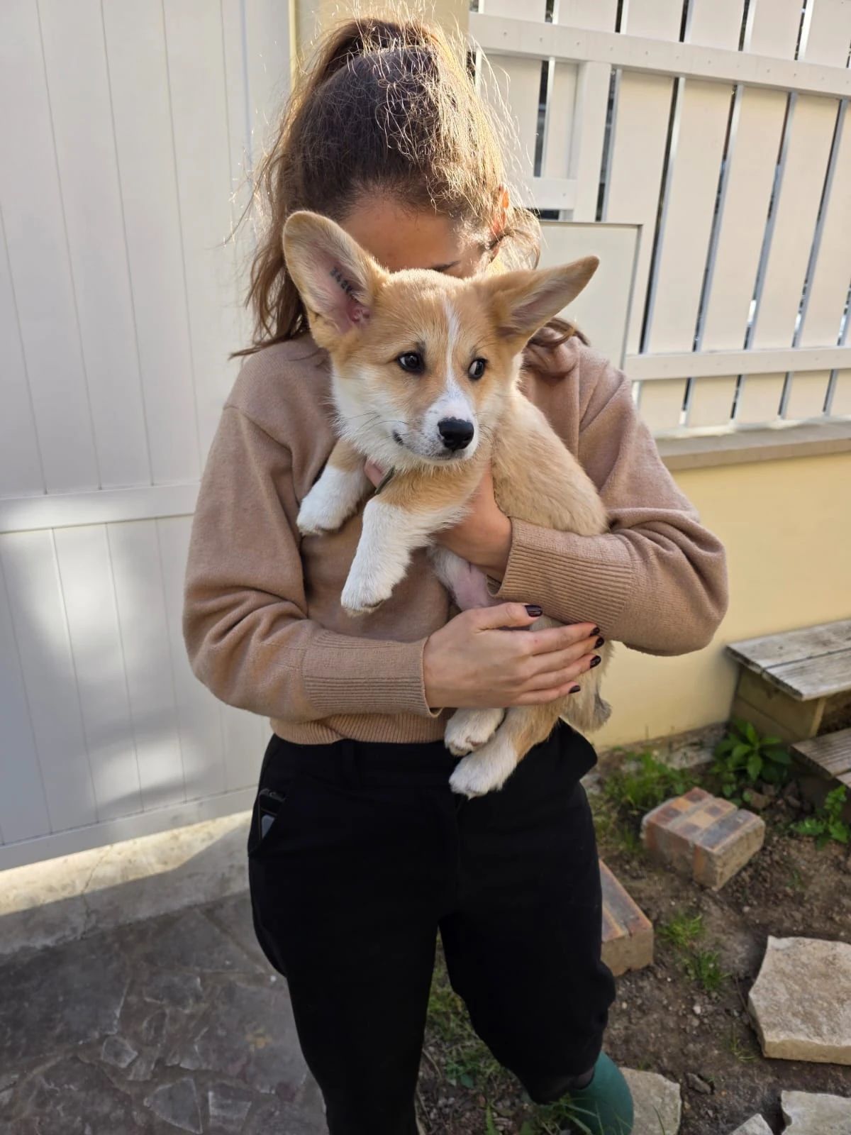 image-9