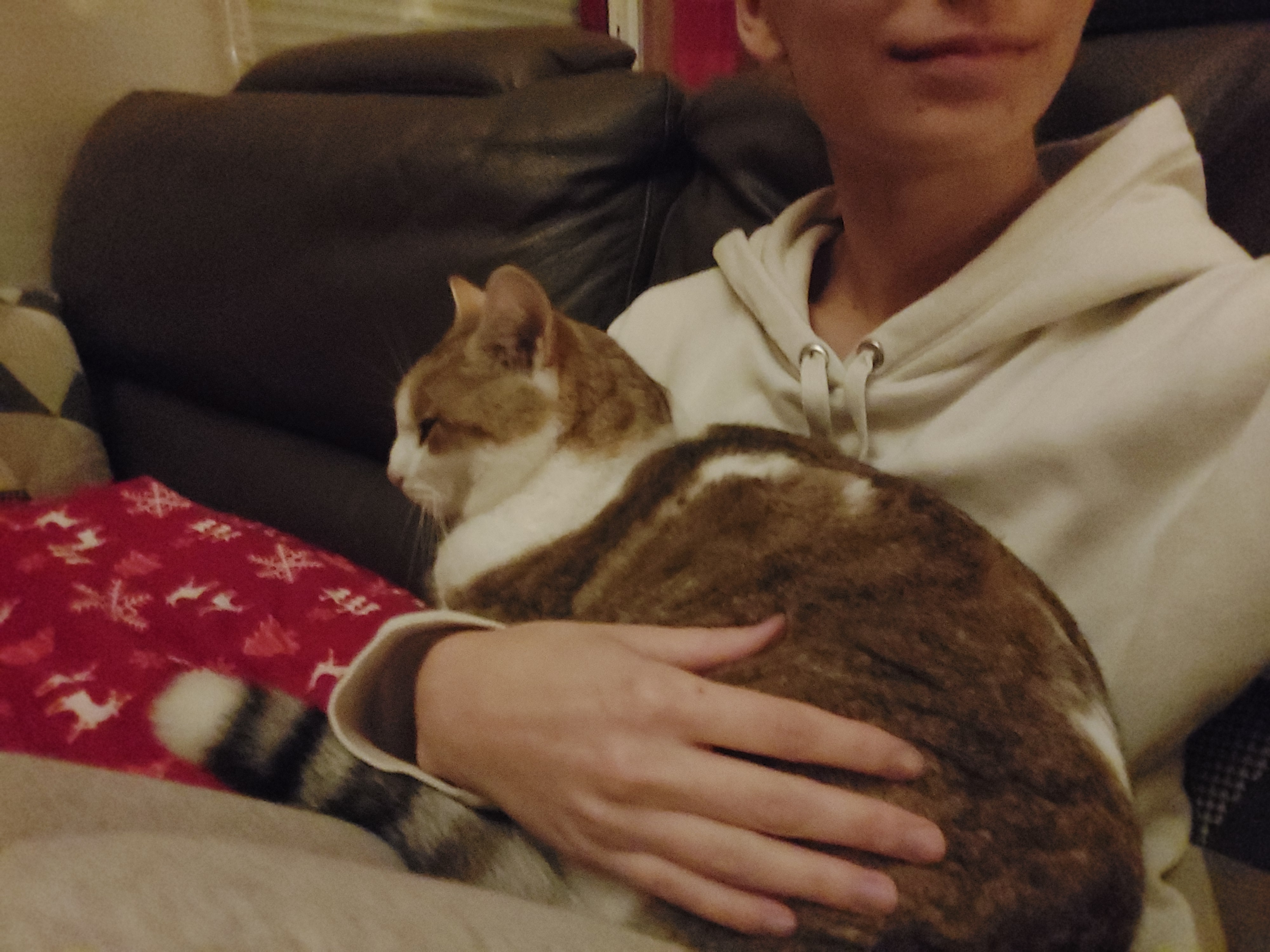 image-6