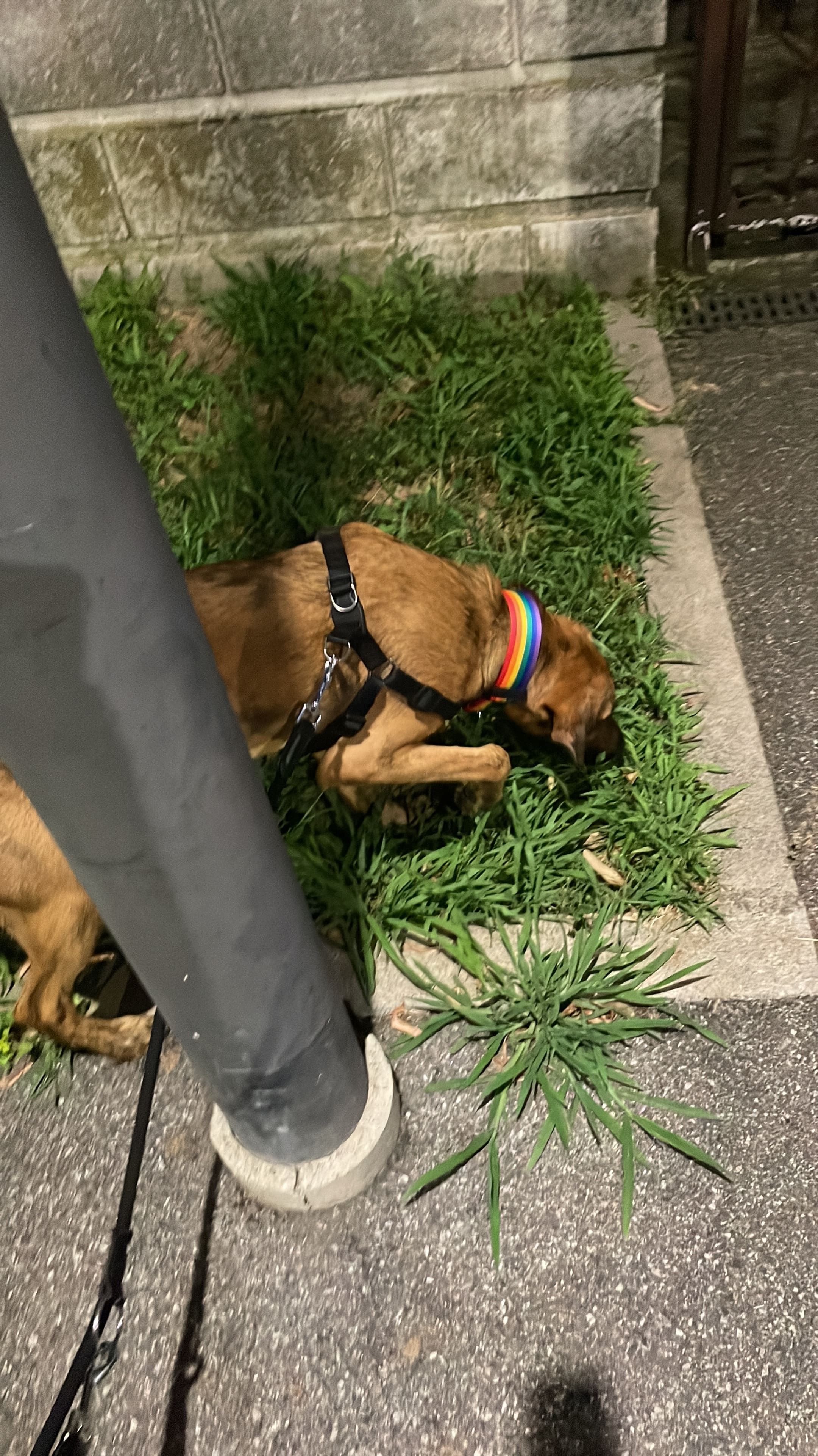 image-9