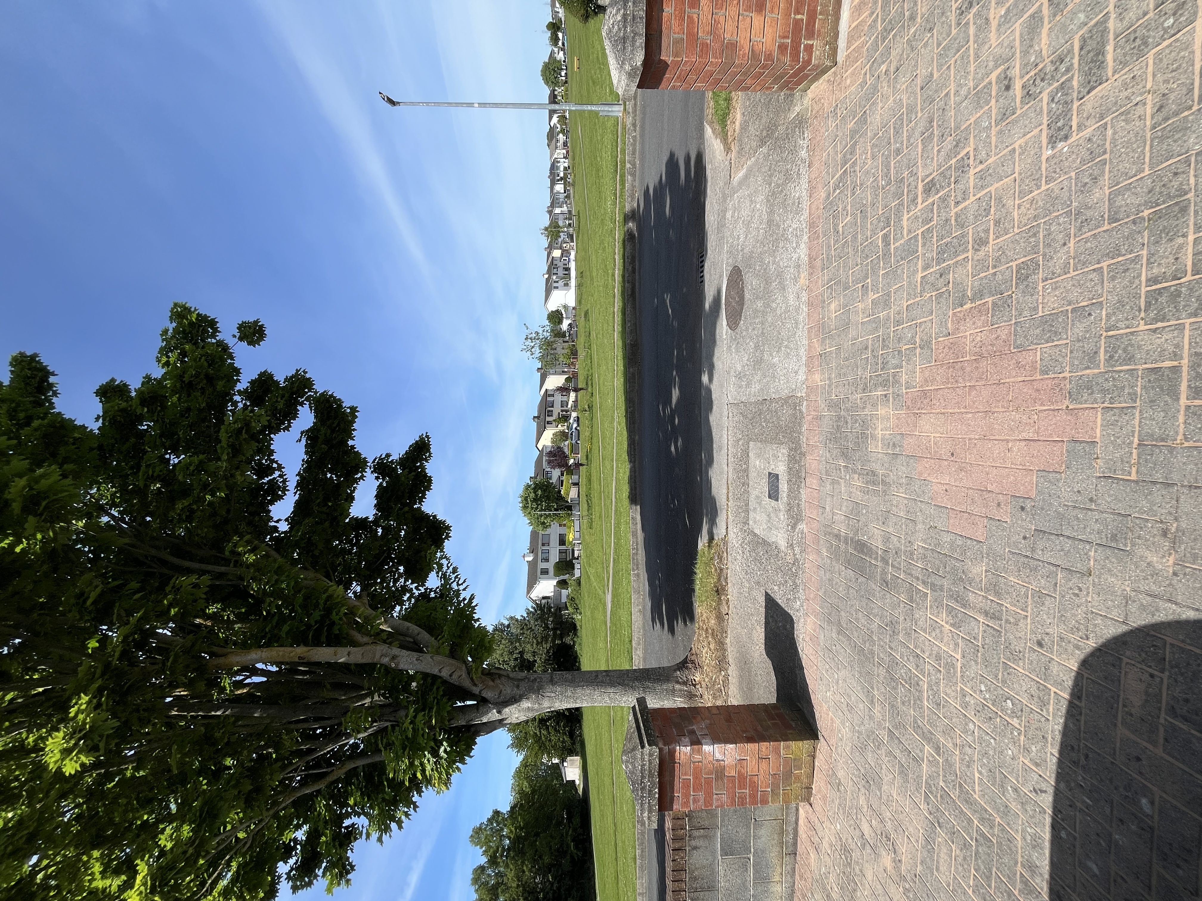 image-18