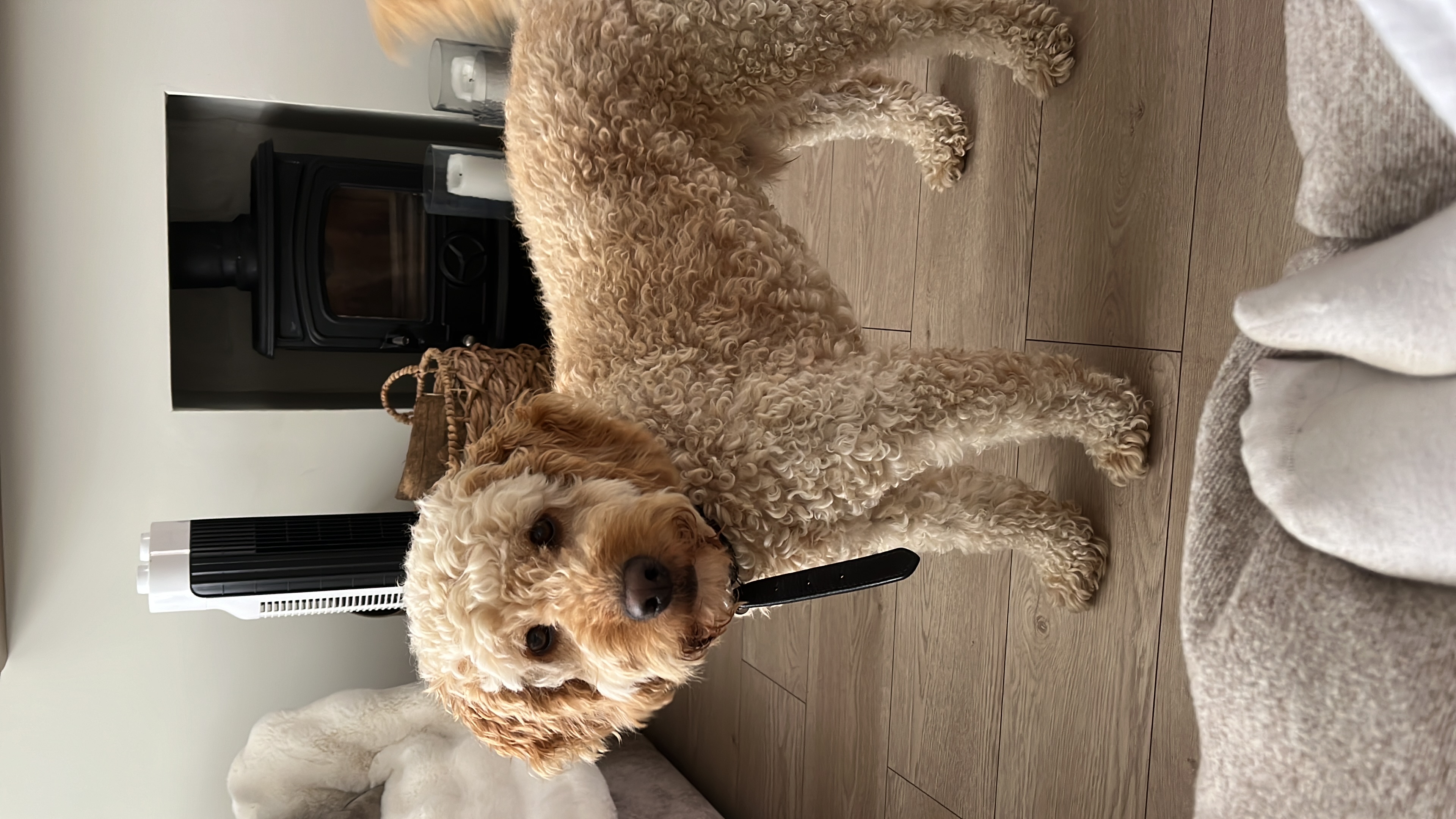 image-9