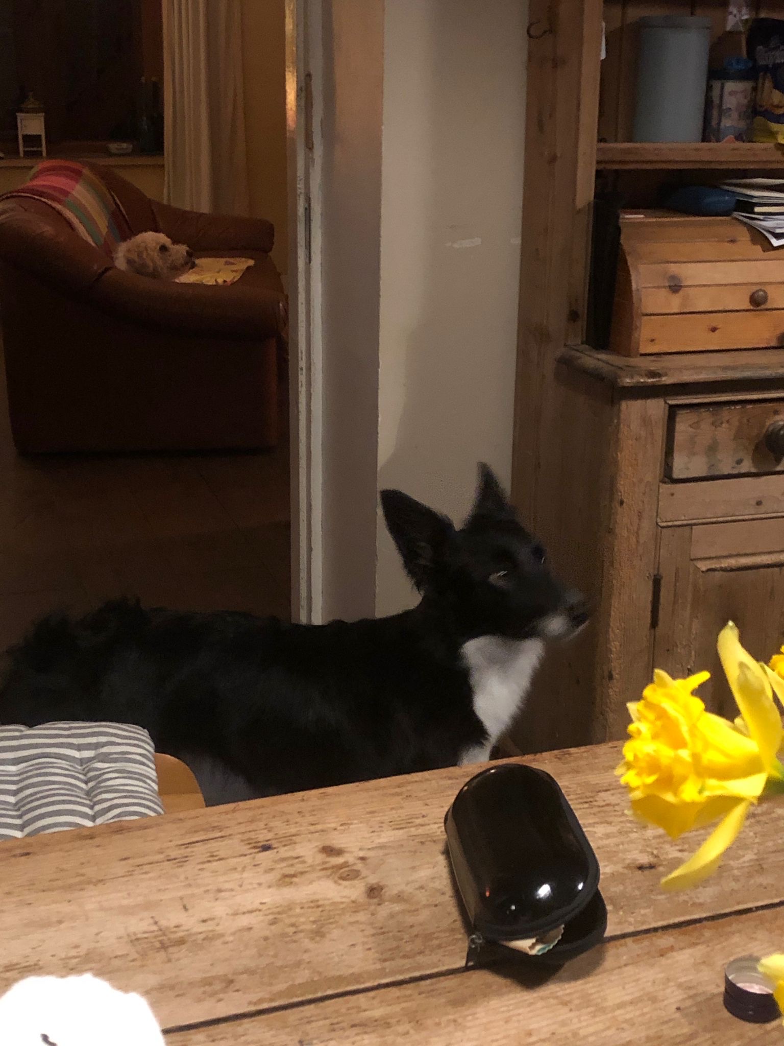image-6