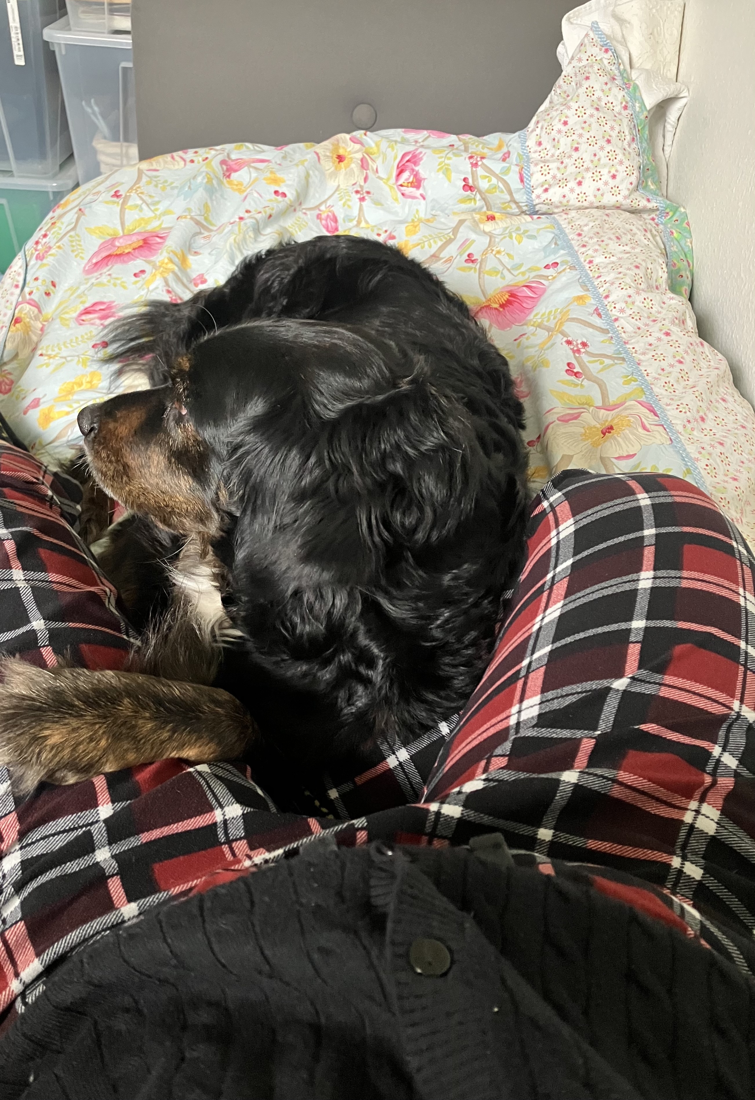 image-7