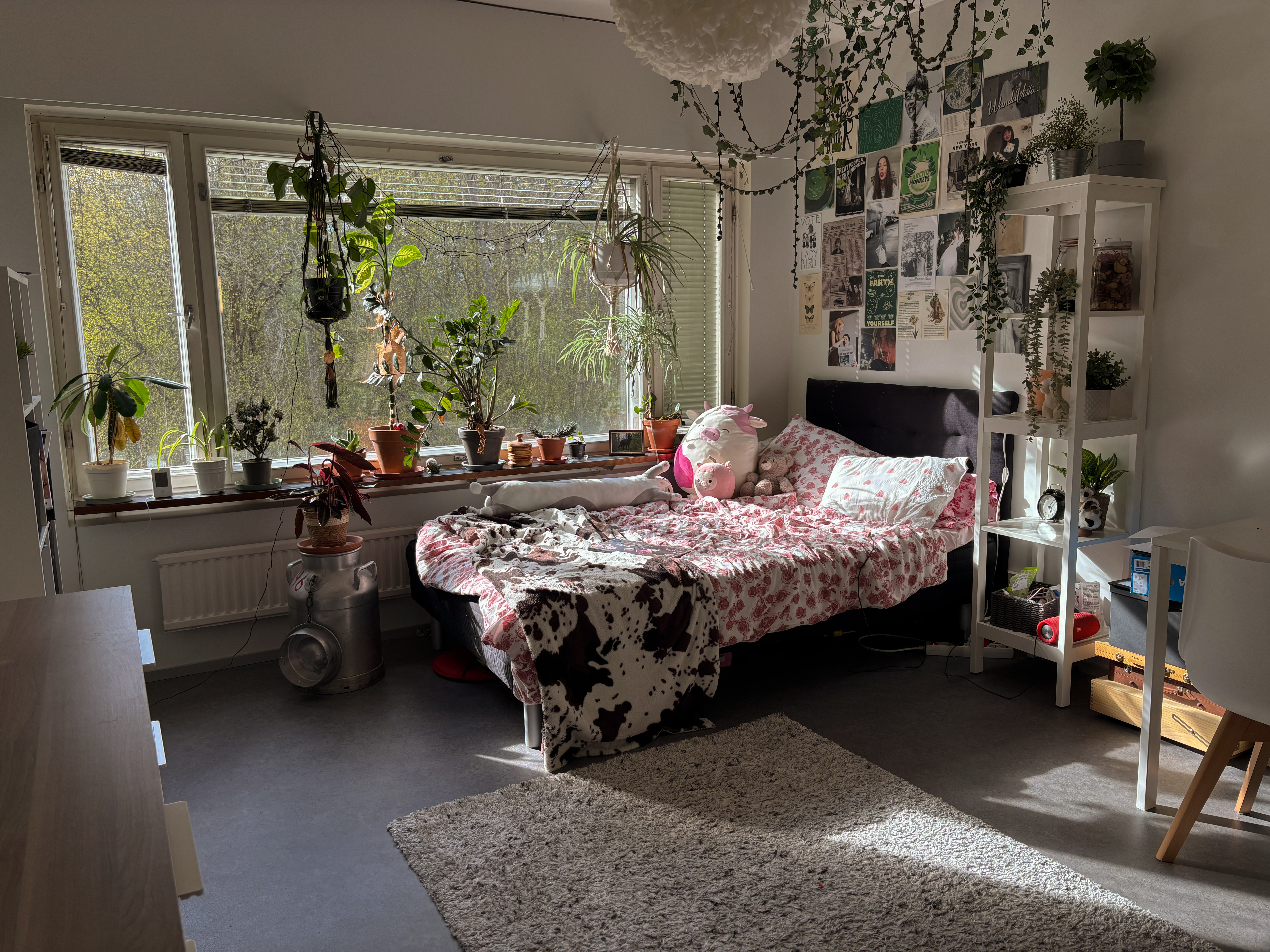 image-10